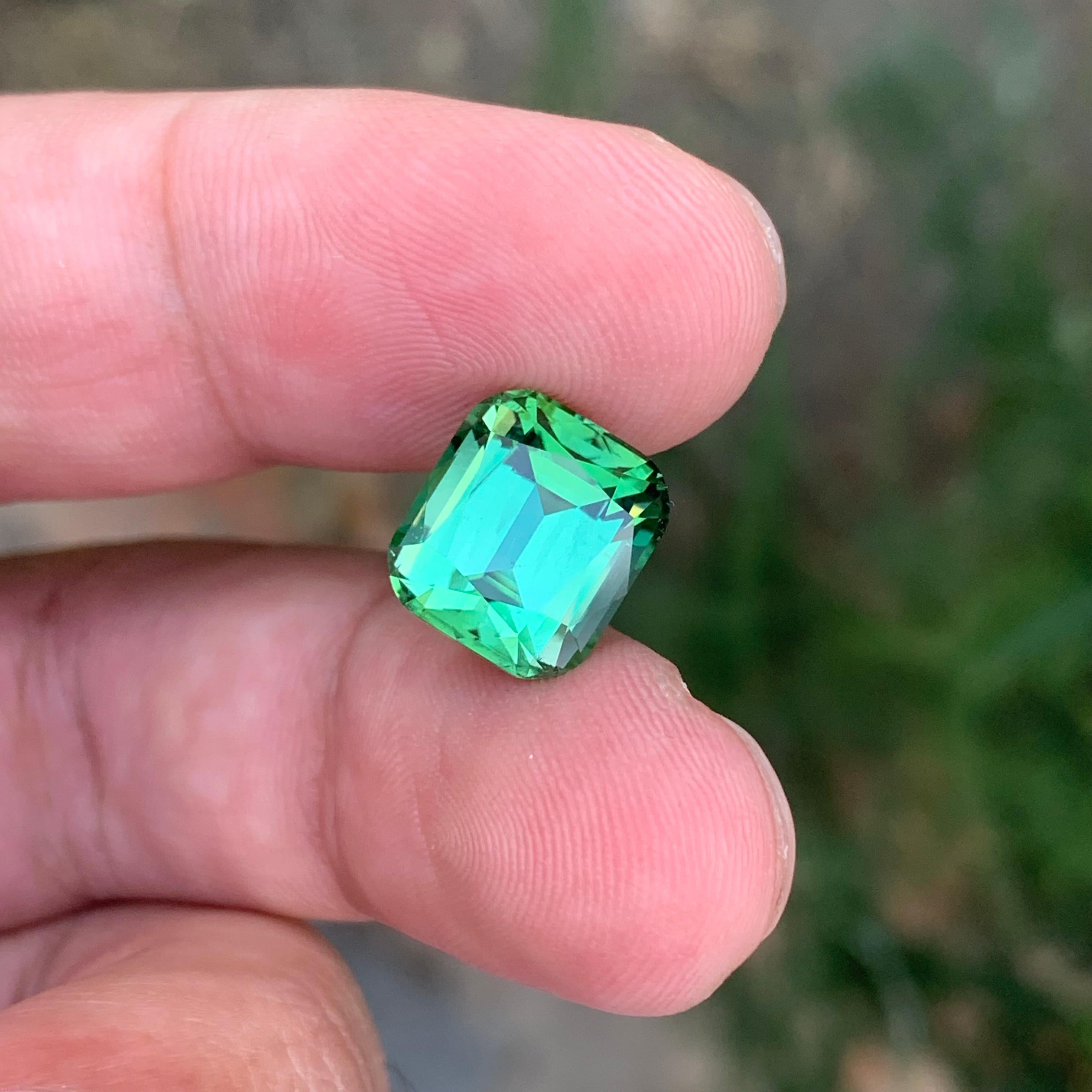 6.50 Carat Natural Loose Green Tourmaline Cushion Shape Gemstone (Tourmaline verte en forme de coussin) en vente 6
