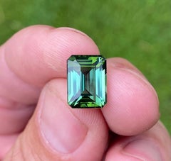 Pierre précieuse naturelle en vrac de 6,56 ct, de couleur vert jaunâtre, de type tourmaline, taille octogonale, originaire du Nigeria