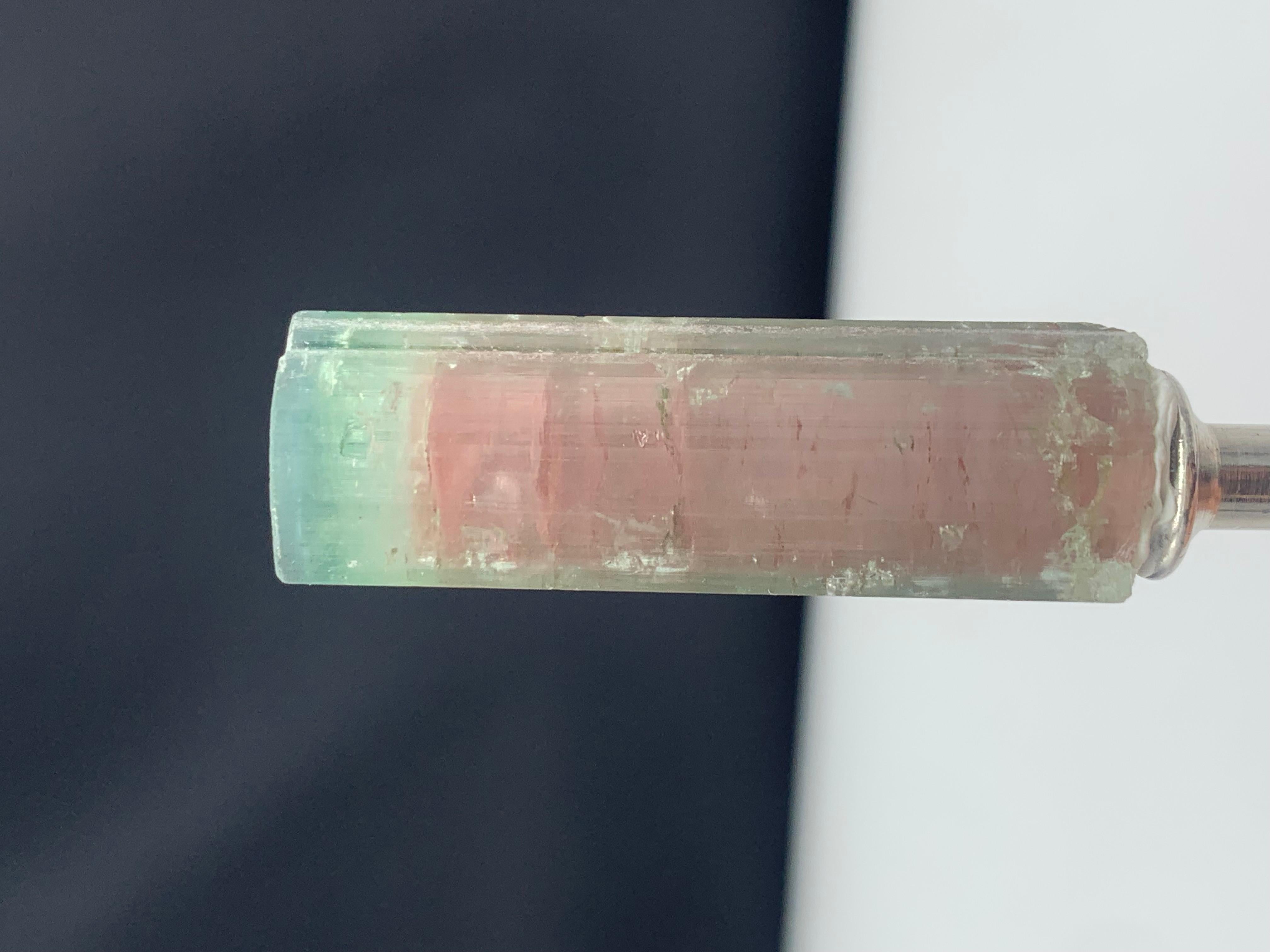 Stunning Bi-Color Tourmaline Crystal from Paprook, Afghanistan
WEIGHT: 65.70 Carat
DIMENSIONS: 6.8 x 1.3 x 1.3 Cm
ORIGIN: Afghanistan
COLOR: Pink and Mint Green
TREATMENT: None
Tourmaline is an extremely popular gemstone; the name Tourmaline