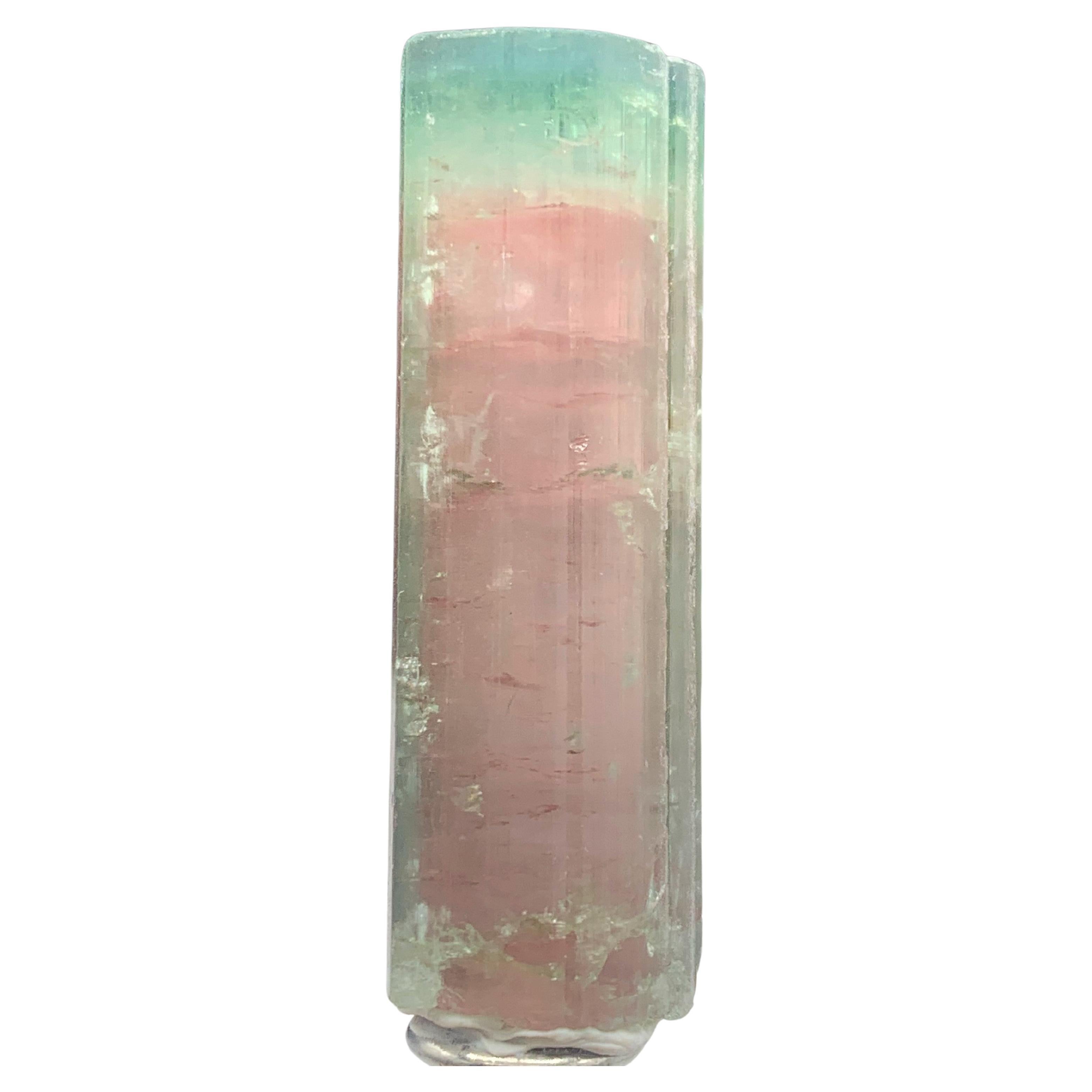 Superbe cristal de tourmaline bicolore de 65,70 carats provenant de Paprook, Afghanistan