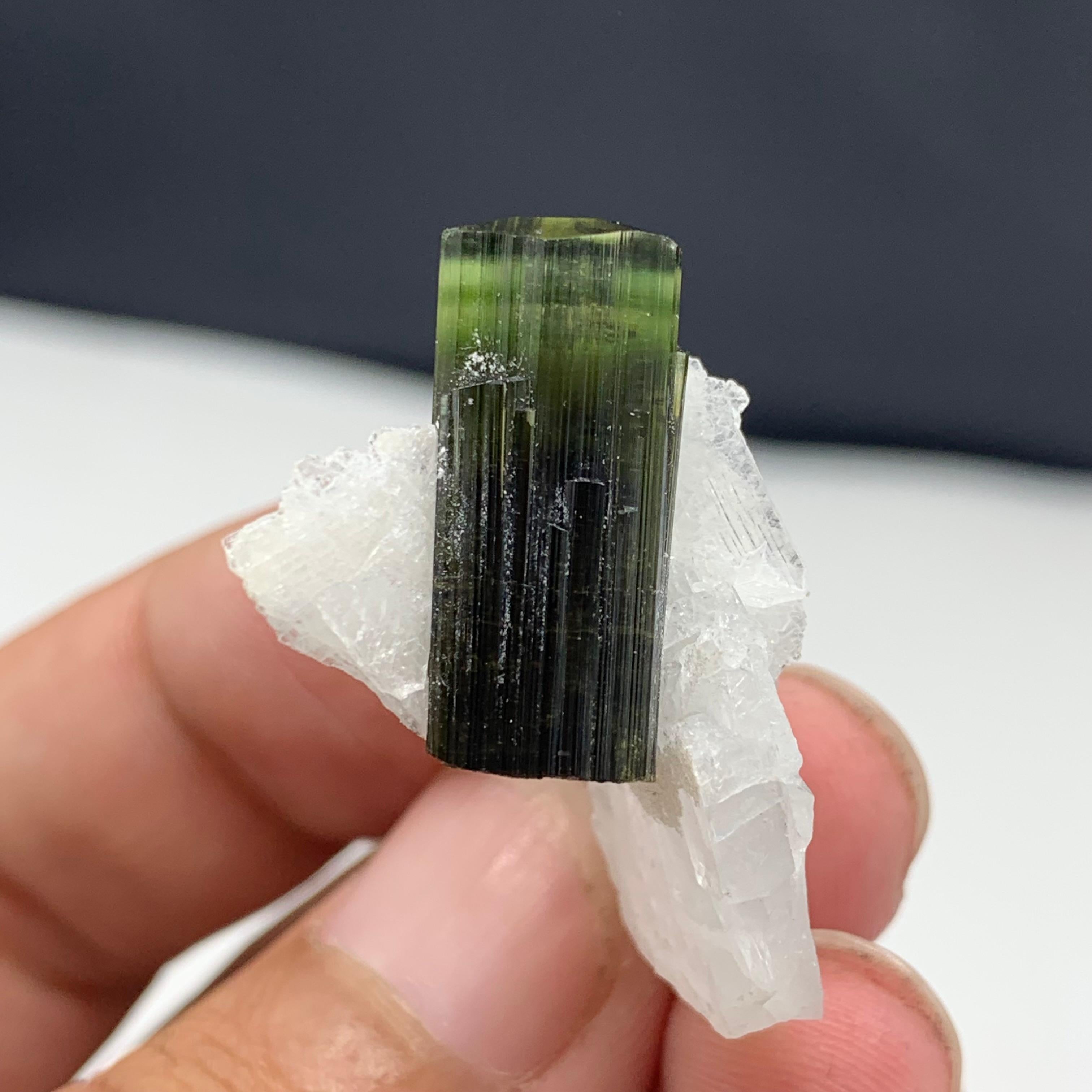 6.58 Gram Adorable Green Tourmaline Specimen with Quartz From Skardu, Pakistan 
Weight: 6.58 Gram 
Dimension: 3.1 x 2.3 x 1.6 Cm 
Origin: Skardu, Pakistan 

Tourmaline is a crystalline silicate mineral group in which boron is compounded with
