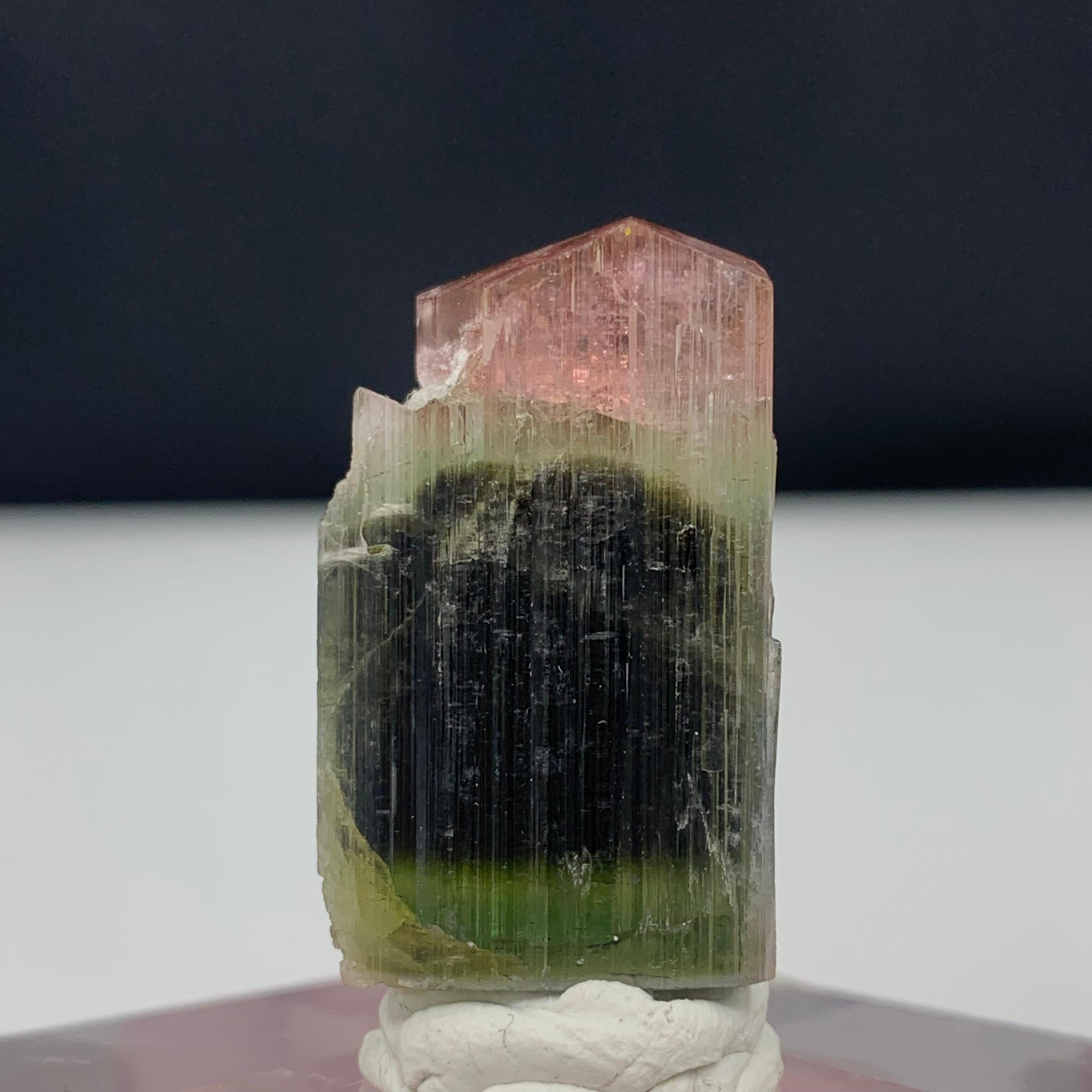 65,80 Karat Glamouröser dreifarbiger Turmalin-Kristall aus Pakistan im Angebot 2