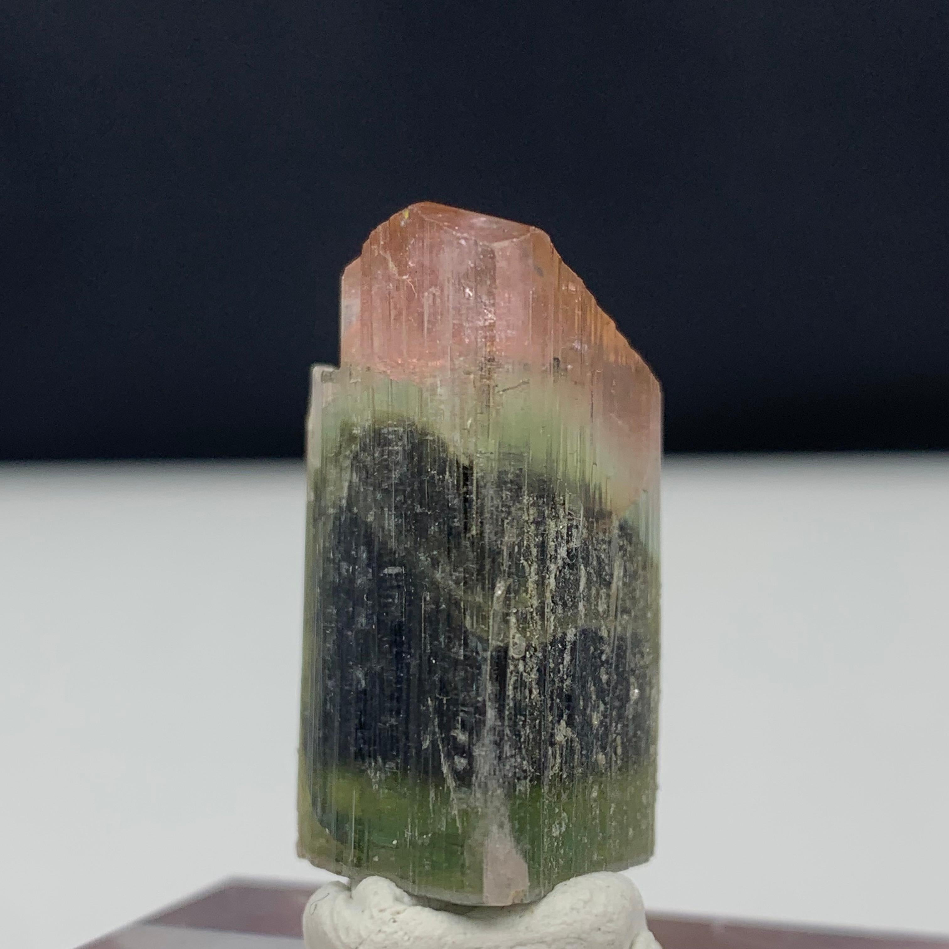 Glamorous Tri Color Tourmaline Crystal From Pakistan
WEIGHT: 65.80 Carat
DIMENSIONS: 2.8 x 1.7 x 1.6 Cm
ORIGIN: Stak Nala, Gilgit Baltistan, Pakistan 
Color : Pink, Green And Dark Green 
TREATMENT : None

Tourmaline is an extremely popular