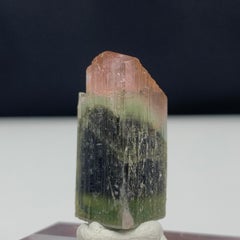 65.80 Carat Glamorous Tri Color Tourmaline Crystal from Pakistan