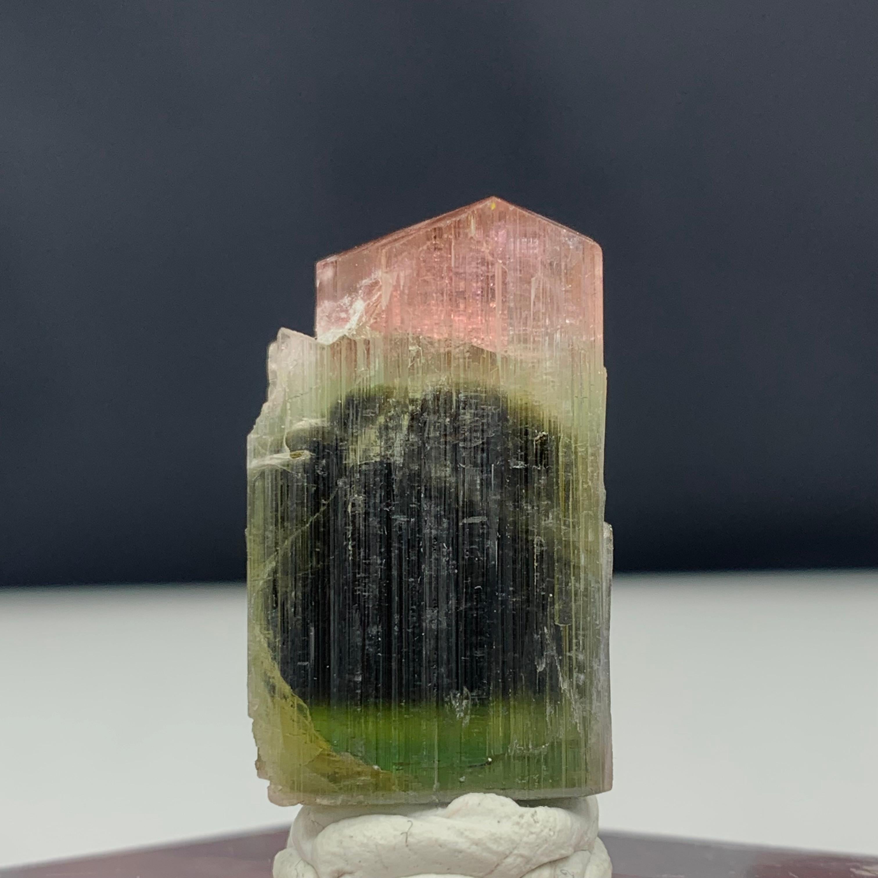Other 65.80 Carat Glamorous Tri Color Tourmaline Crystal from Pakistan For Sale