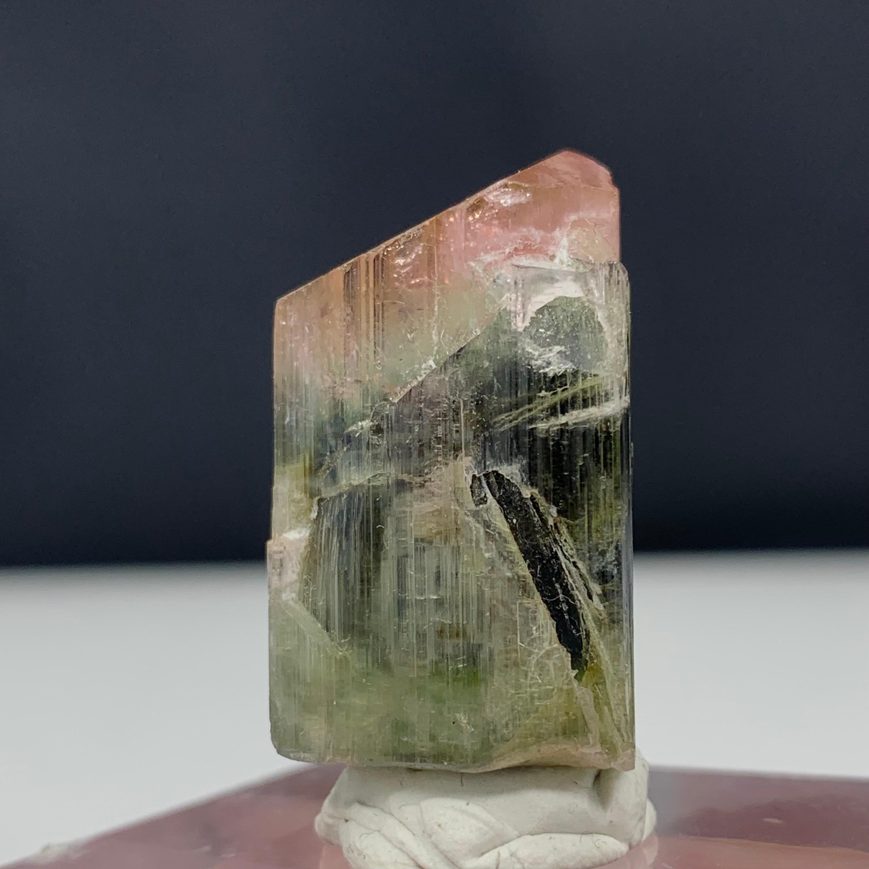 18th Century and Earlier 65.80 Carat Glamorous Tri Color Tourmaline Crystal from Pakistan For Sale