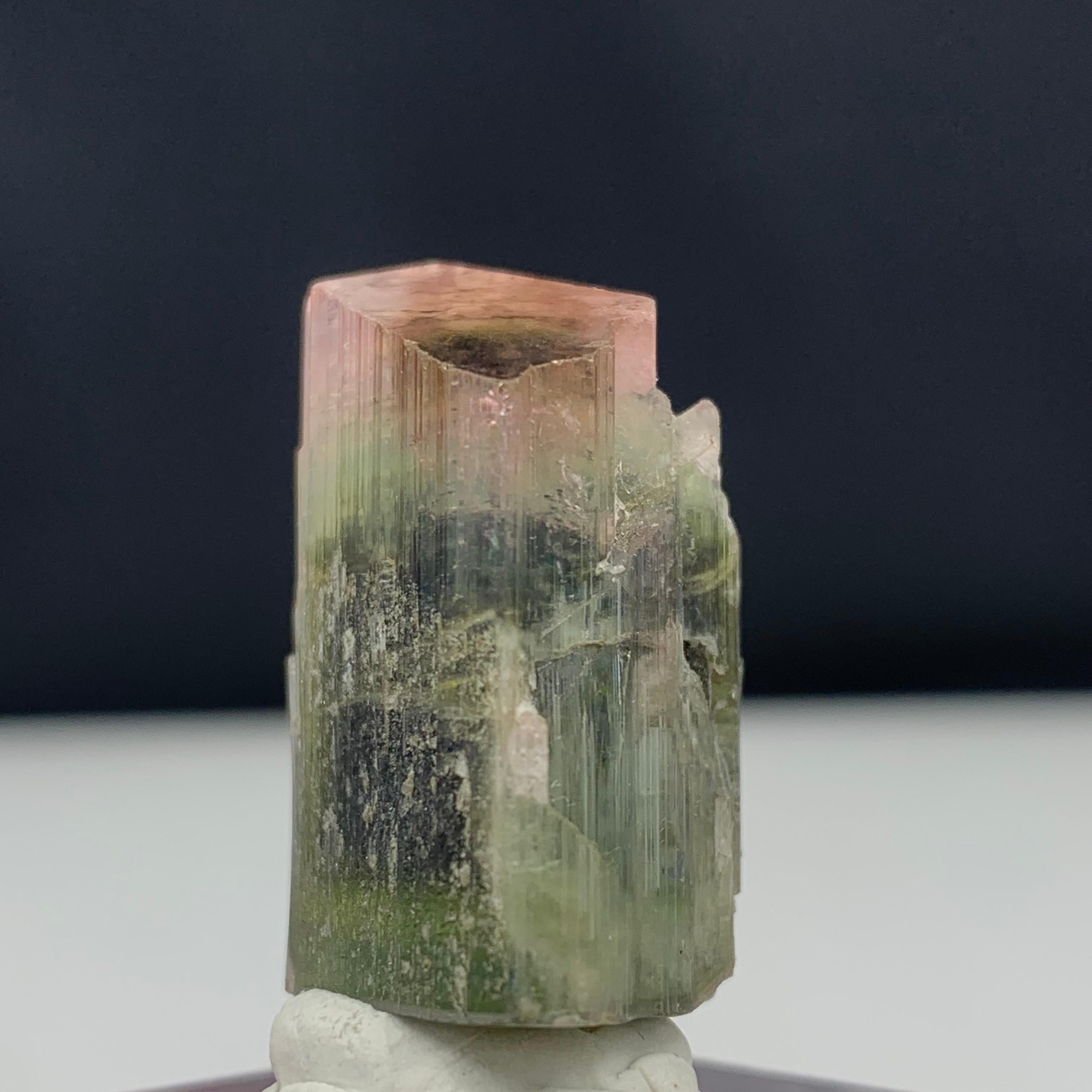 Rock Crystal 65.80 Carat Glamorous Tri Color Tourmaline Crystal from Pakistan For Sale