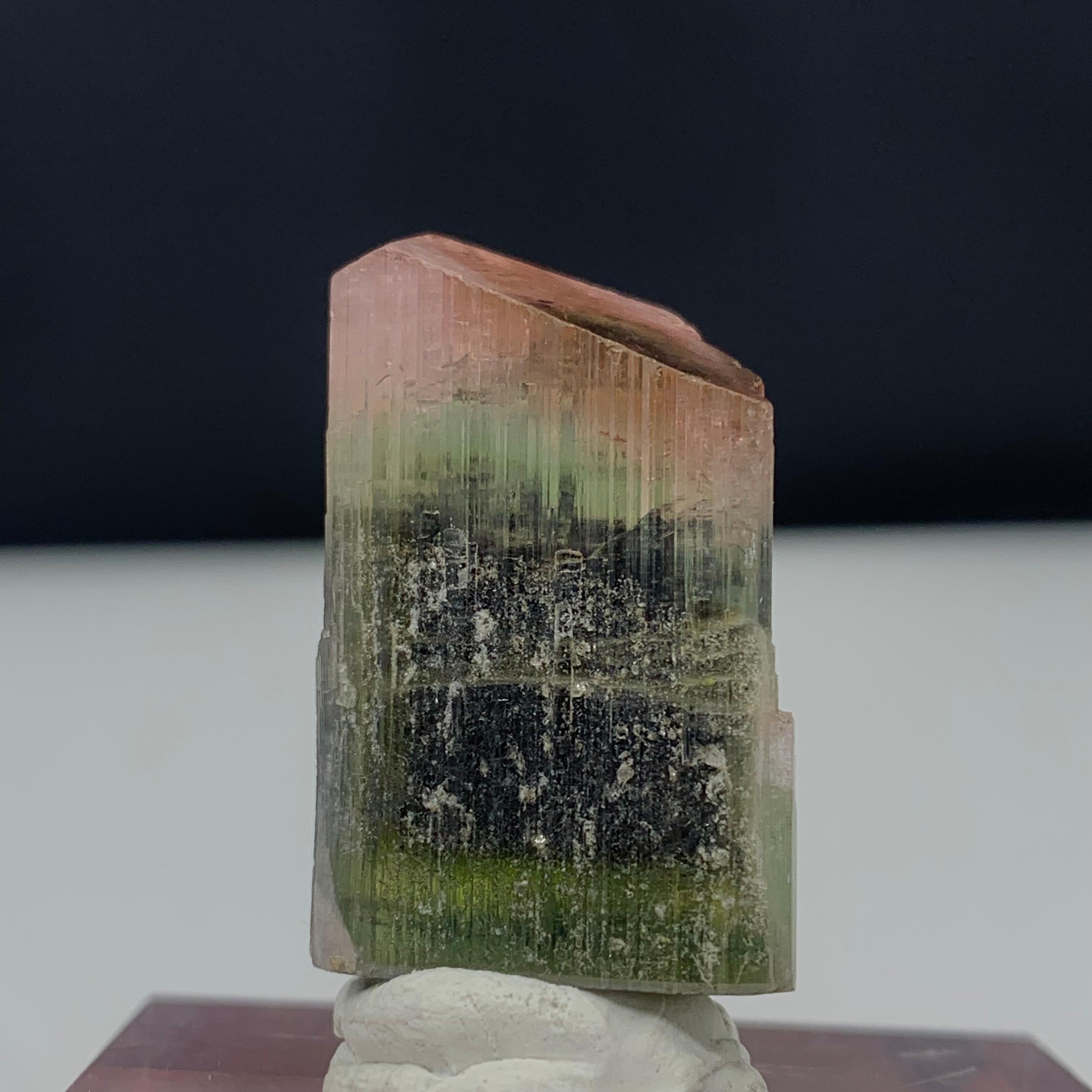 65.80 Carat Glamorous Tri Color Tourmaline Crystal from Pakistan For Sale 1