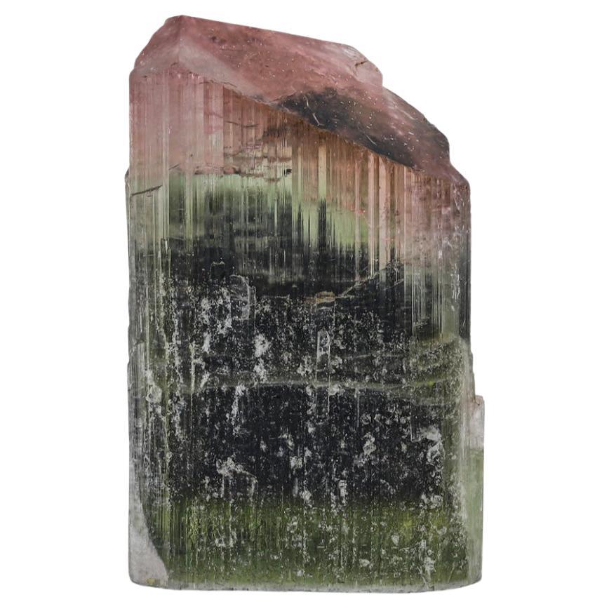 65.80 Carat Glamorous Tri Color Tourmaline Crystal from Pakistan For Sale