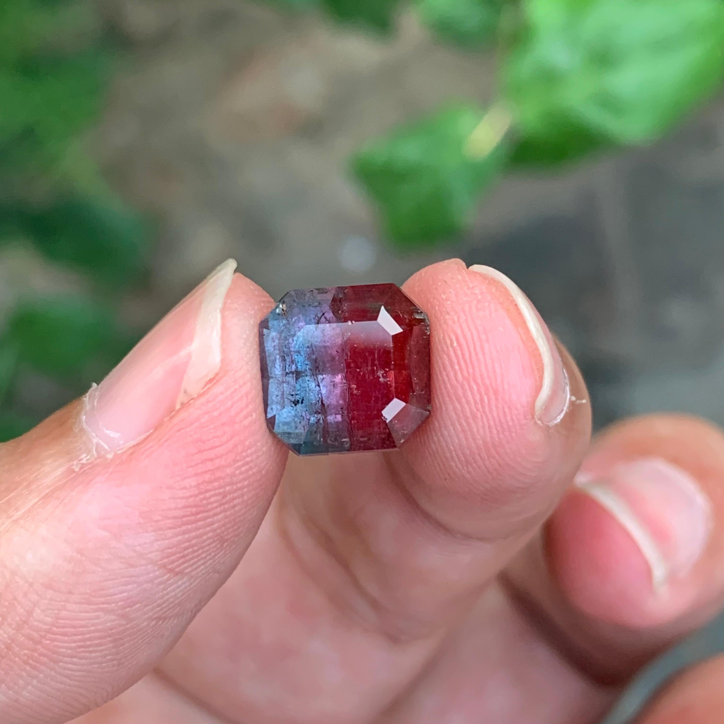 6.60 Carat Natural Loose Bi-Colour Tourmaline Square Shape Gemstone For Sale 4