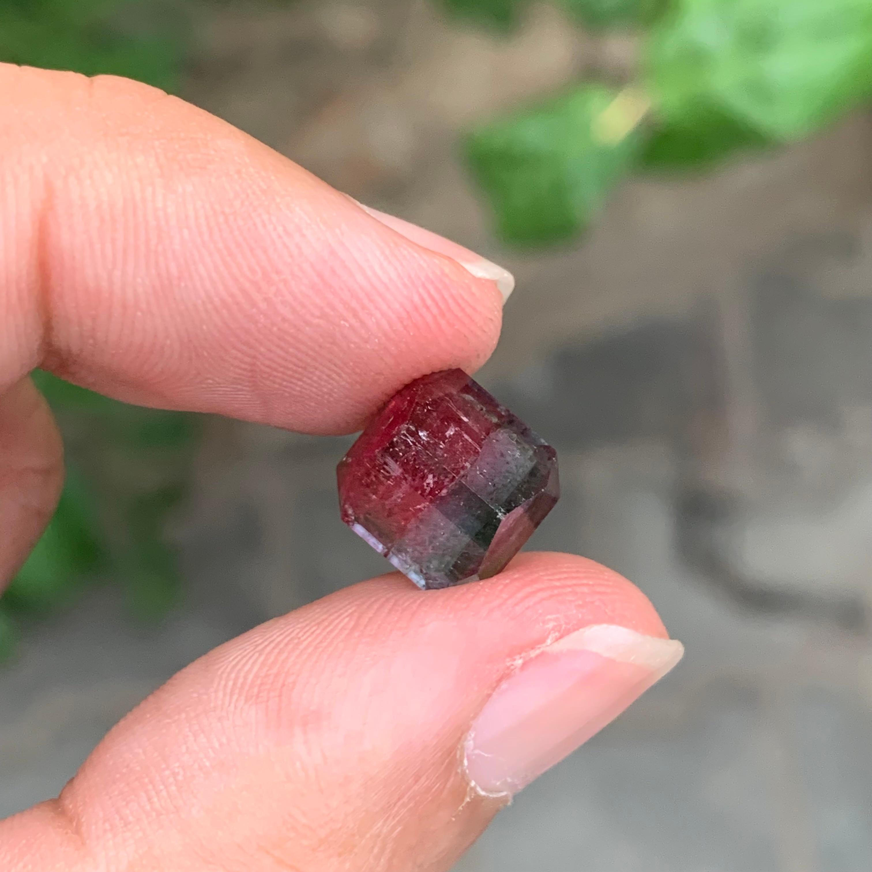 6.60 Carat Natural Loose Bi-Colour Tourmaline Square Shape Gemstone For Sale 5