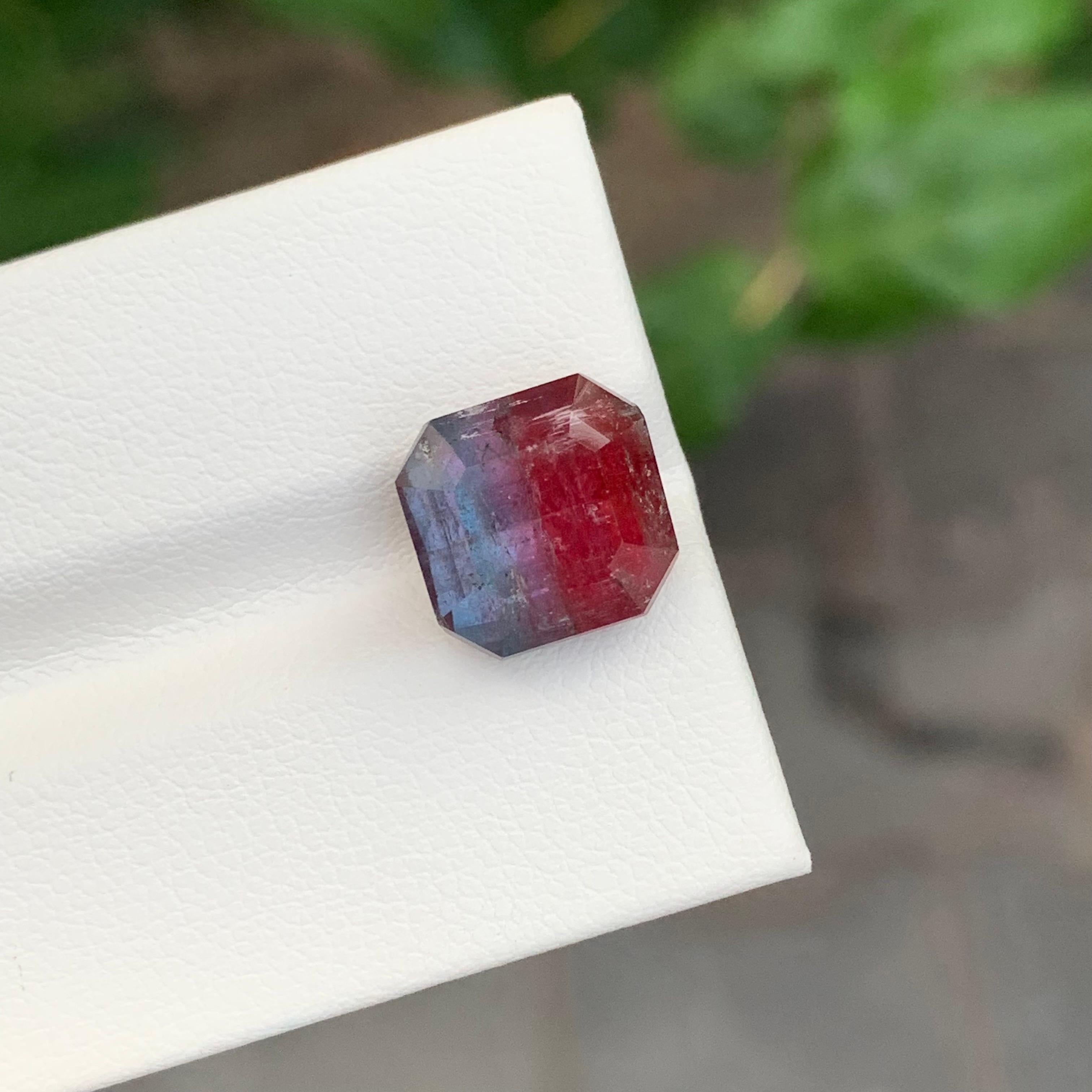 Faceted Bi-Colour Tourmaline

Weight: 6.60 Carat
Dimension: 10.3 x 10.1 x 7.8 Mm
Colour: Pink And Blue 
Treatment: Non
Certificate: On Customer Demand
Shape: Square 


Tourmaline is a captivating gemstone known for its remarkable variety of colors,