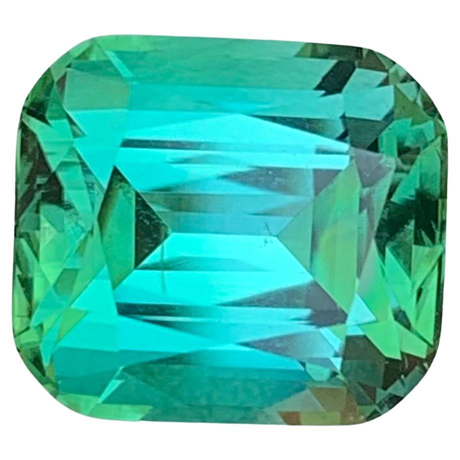6.60 Carat Natural Loose Mint Green Tourmaline Cushion Shape Gemstone