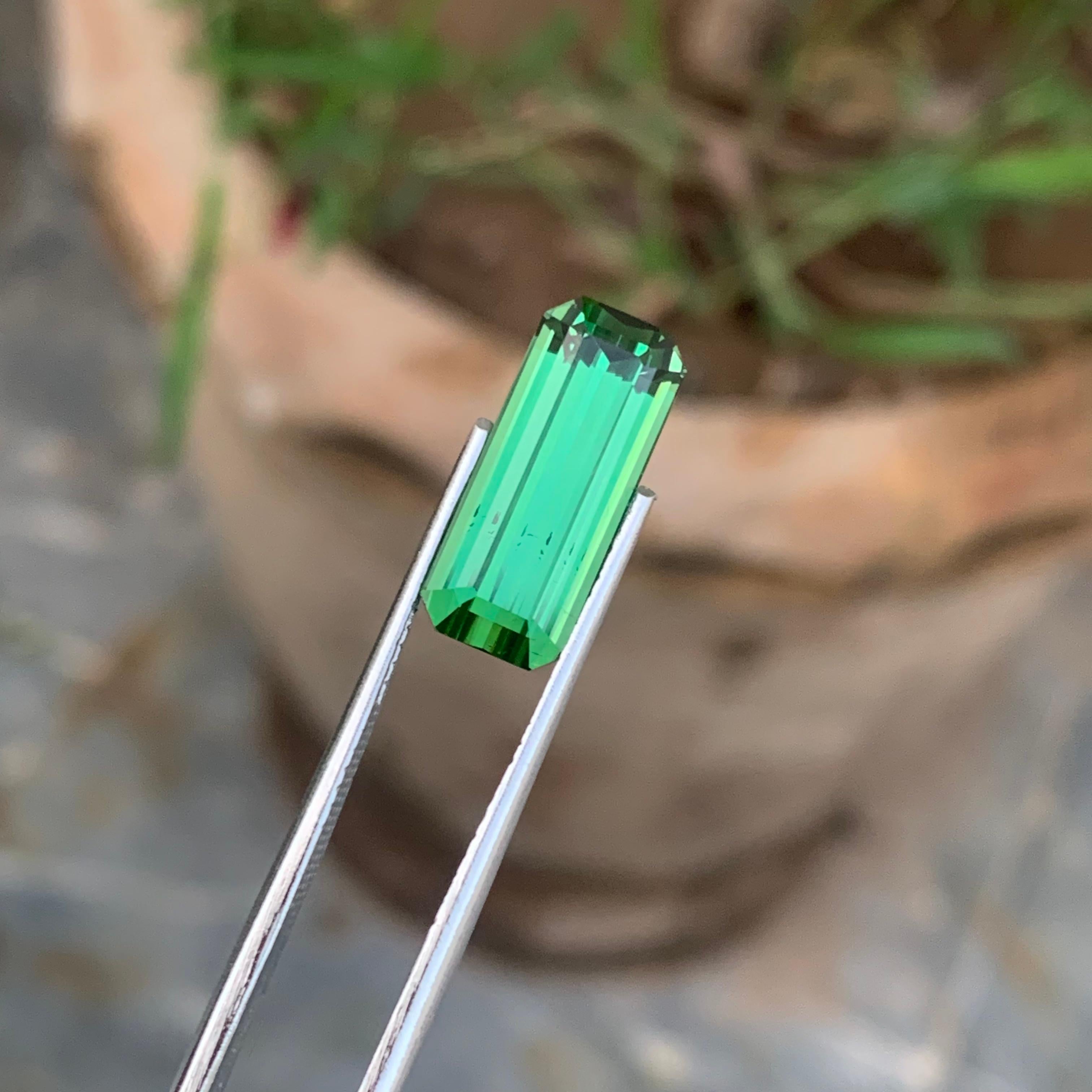 La mine afghane de tourmaline vert vif Verde Vivace de 6,60 carats à breloque lumineuse en vente 1