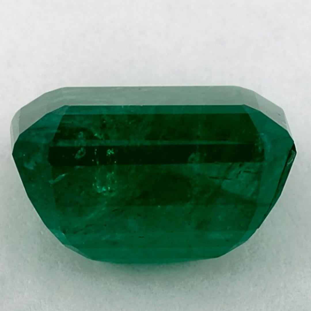 6.60 Ct Emerald Octagon Loose Gemstone (pierre précieuse en vrac) Neuf - En vente à Fort Lee, NJ