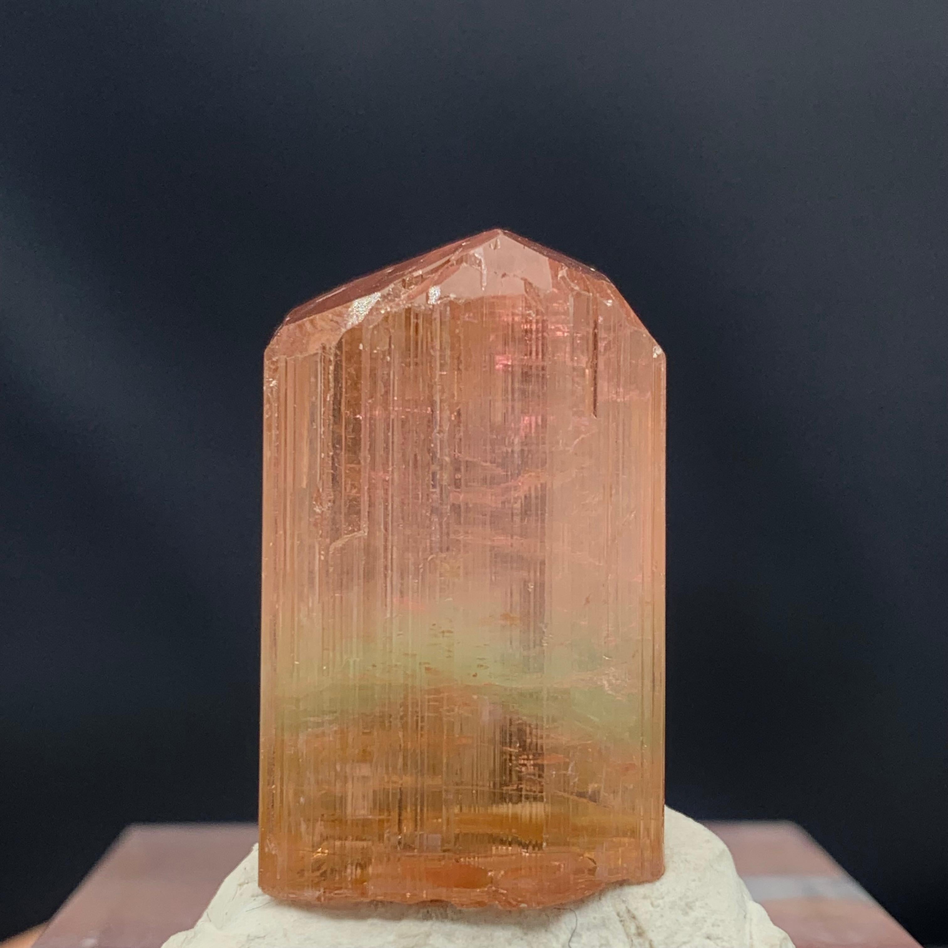 66.10 Carat Attractive Bi Color Tourmaline Crystal from Afghanistan For Sale 3