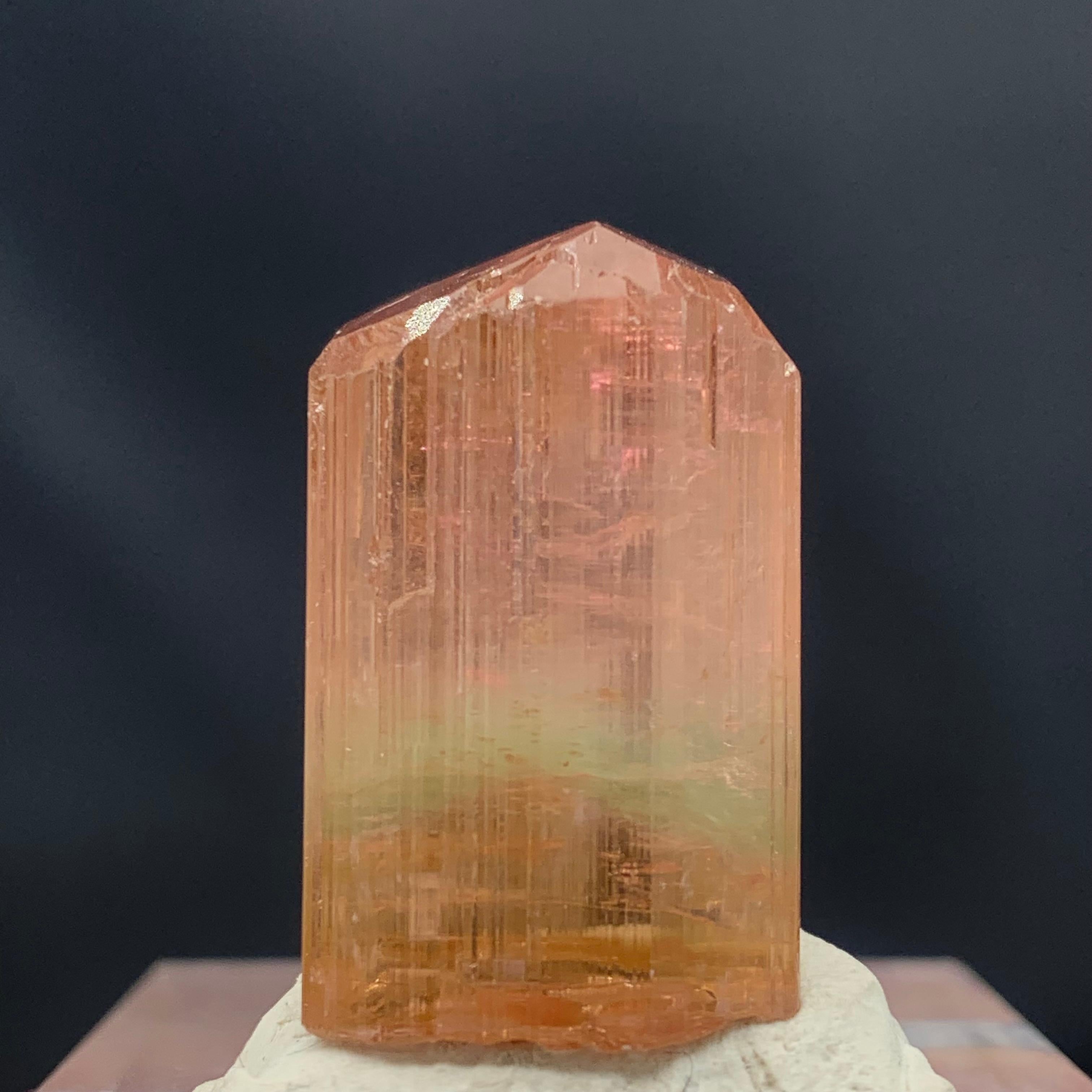 Adam Style 66.10 Carat Attractive Bi Color Tourmaline Crystal from Afghanistan For Sale