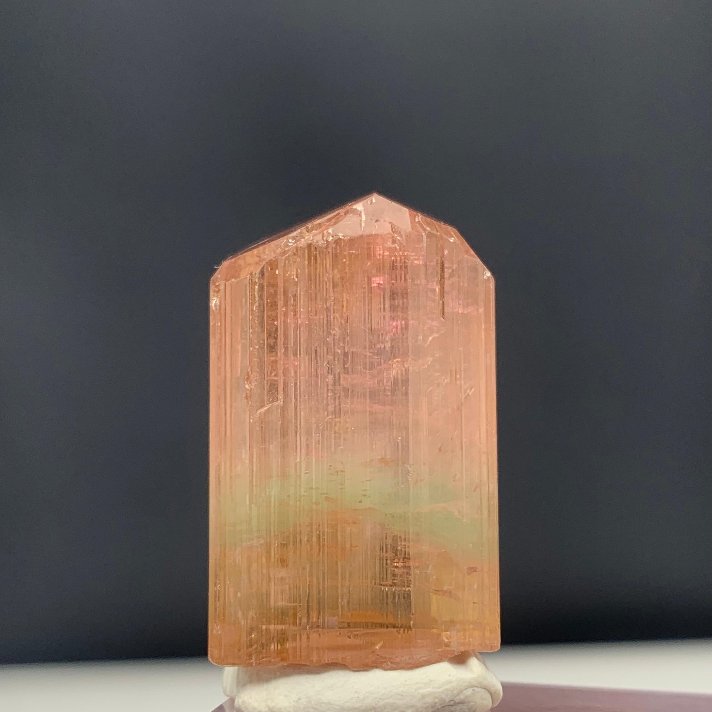 66.10 Carat Attractive Bi Color Tourmaline Crystal from Afghanistan In Good Condition For Sale In Peshawar, PK