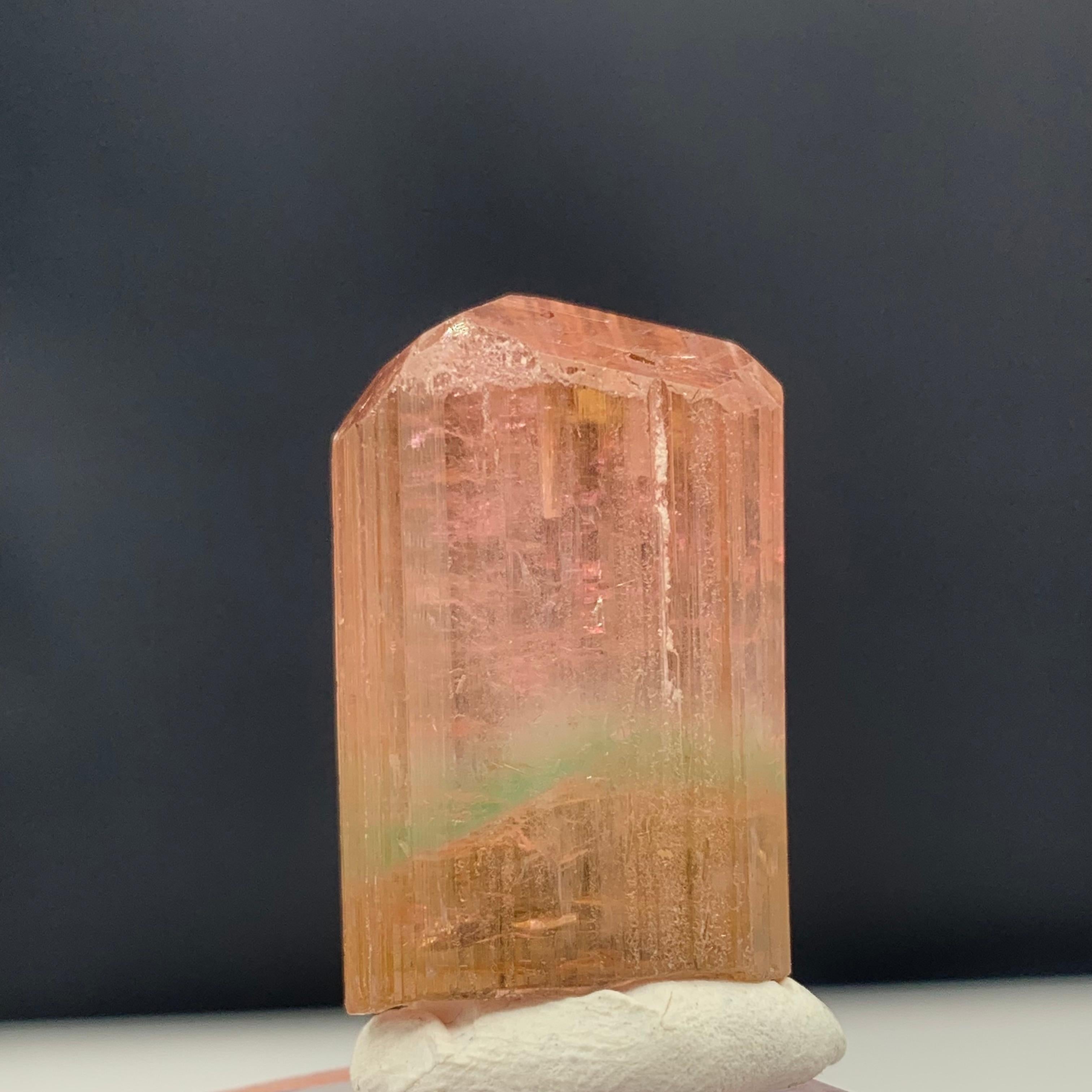 18th Century and Earlier 66.10 Carat Attractive Bi Color Tourmaline Crystal from Afghanistan For Sale