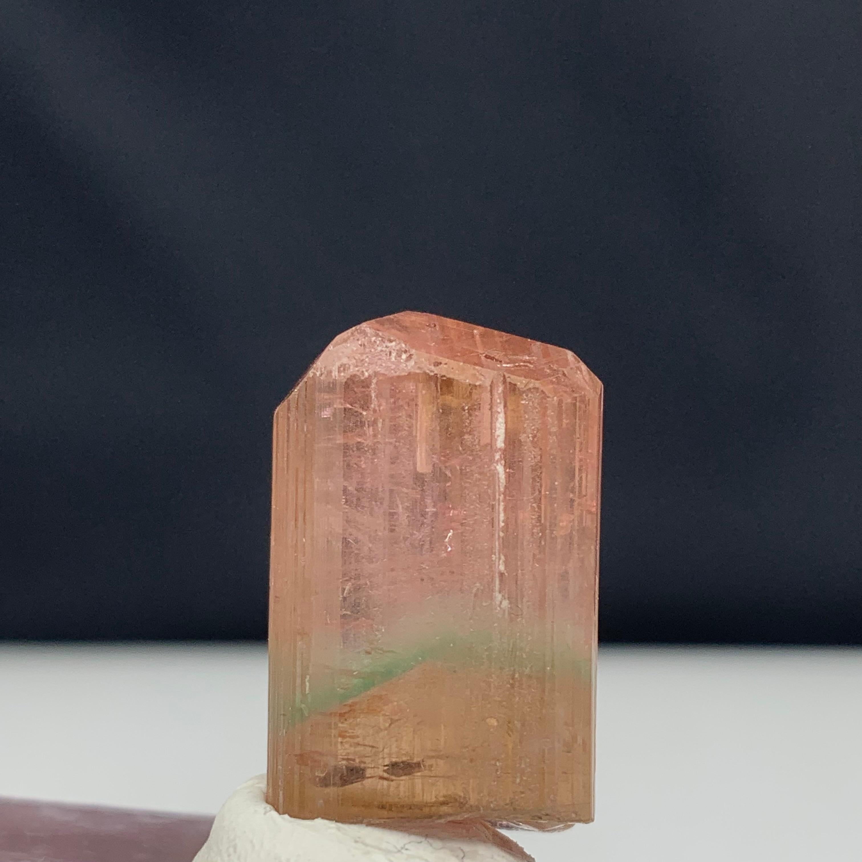 66.10 Carat Attractive Bi Color Tourmaline Crystal from Afghanistan For Sale 1