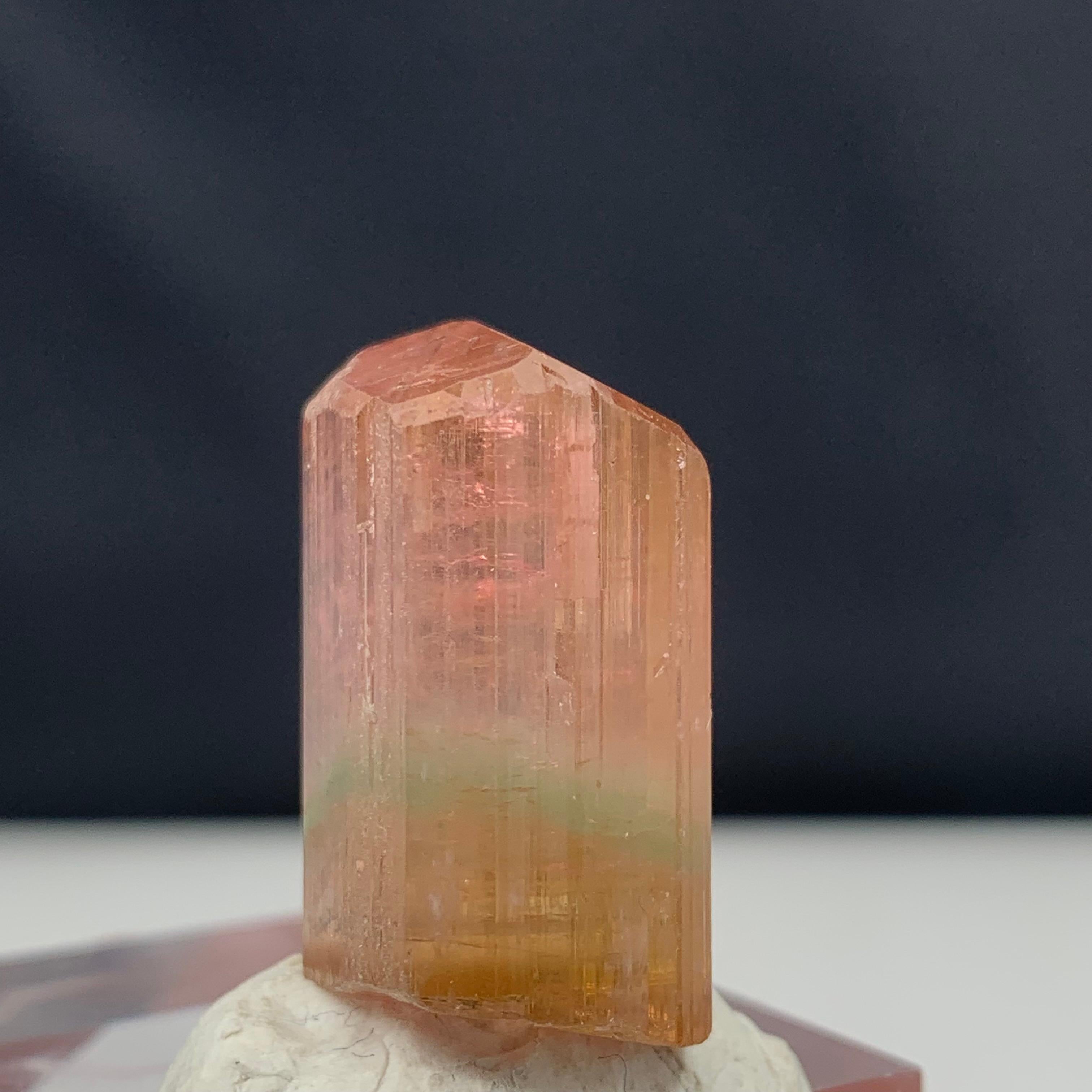 66.10 Carat Attractive Bi Color Tourmaline Crystal from Afghanistan For Sale 2