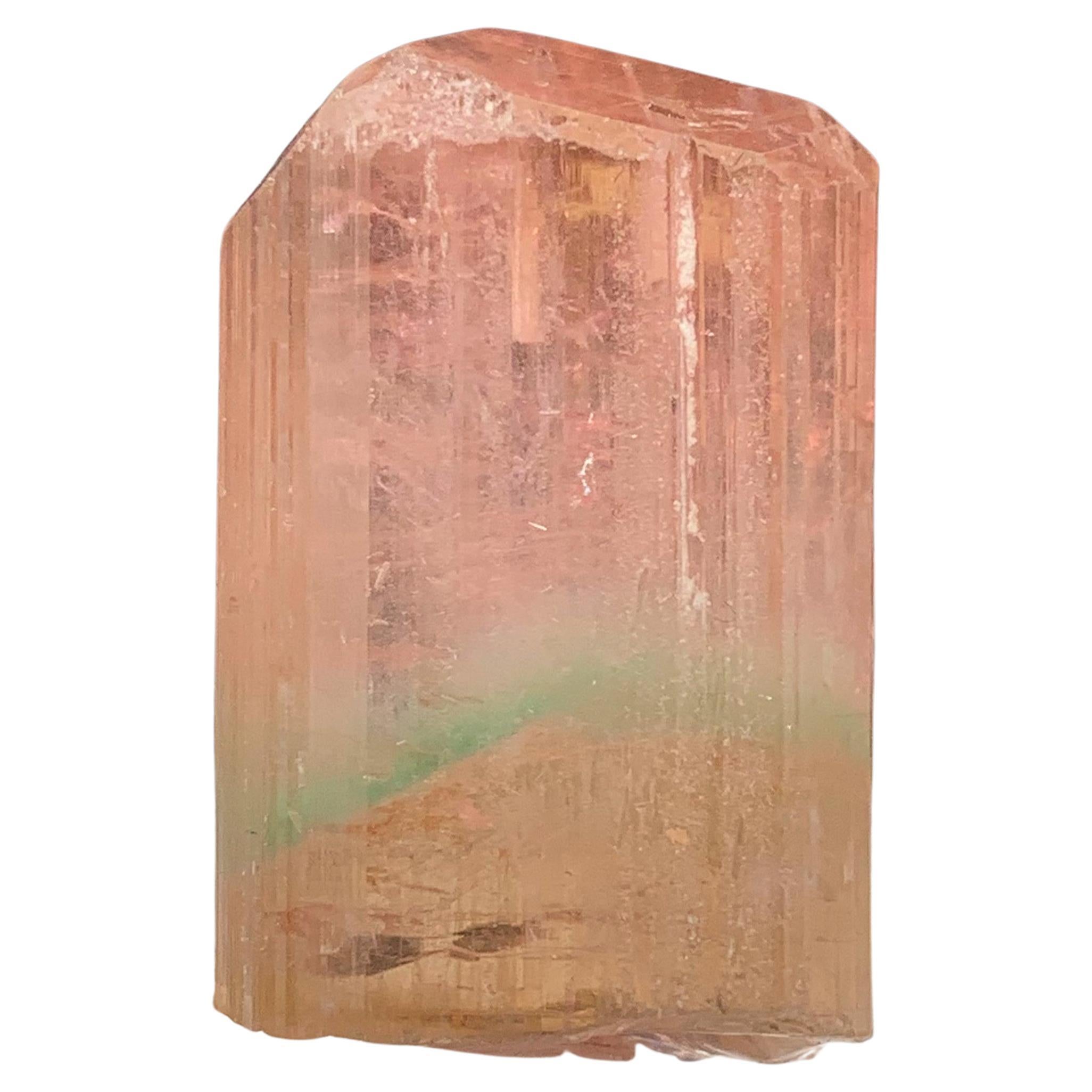 66.10 Carat Attractive Bi Color Tourmaline Crystal from Afghanistan