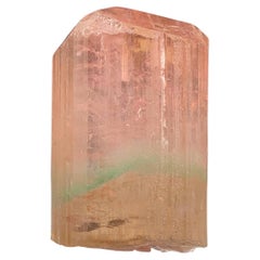 Antique 66.10 Carat Attractive Bi Color Tourmaline Crystal from Afghanistan
