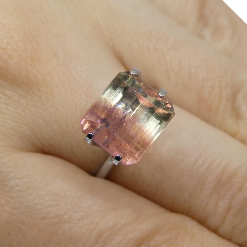 Description:

Gem Type: Bi-Colour Tourmaline
Number of Stones: 1
Weight: 6.62 cts
Measurements: 10.76 x 9.83 x 6.91 mm
Shape: Emerald Cut
Cutting Style Crown: Step Cut
Cutting Style Pavilion: Step Cut
Transparency: Transparent
Clarity: Moderately