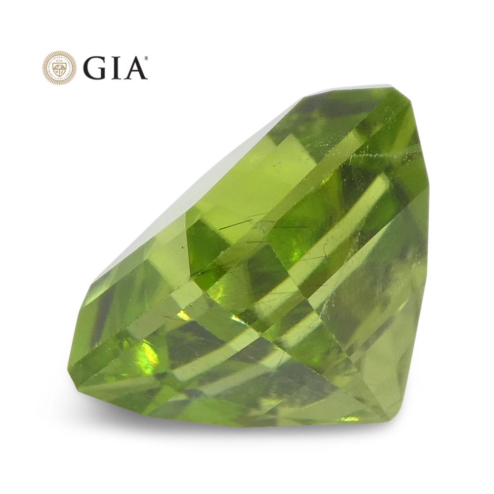 6.64ct Octagonal/Emerald Cut Yellowish Green Peridot GIA Certified For Sale 8