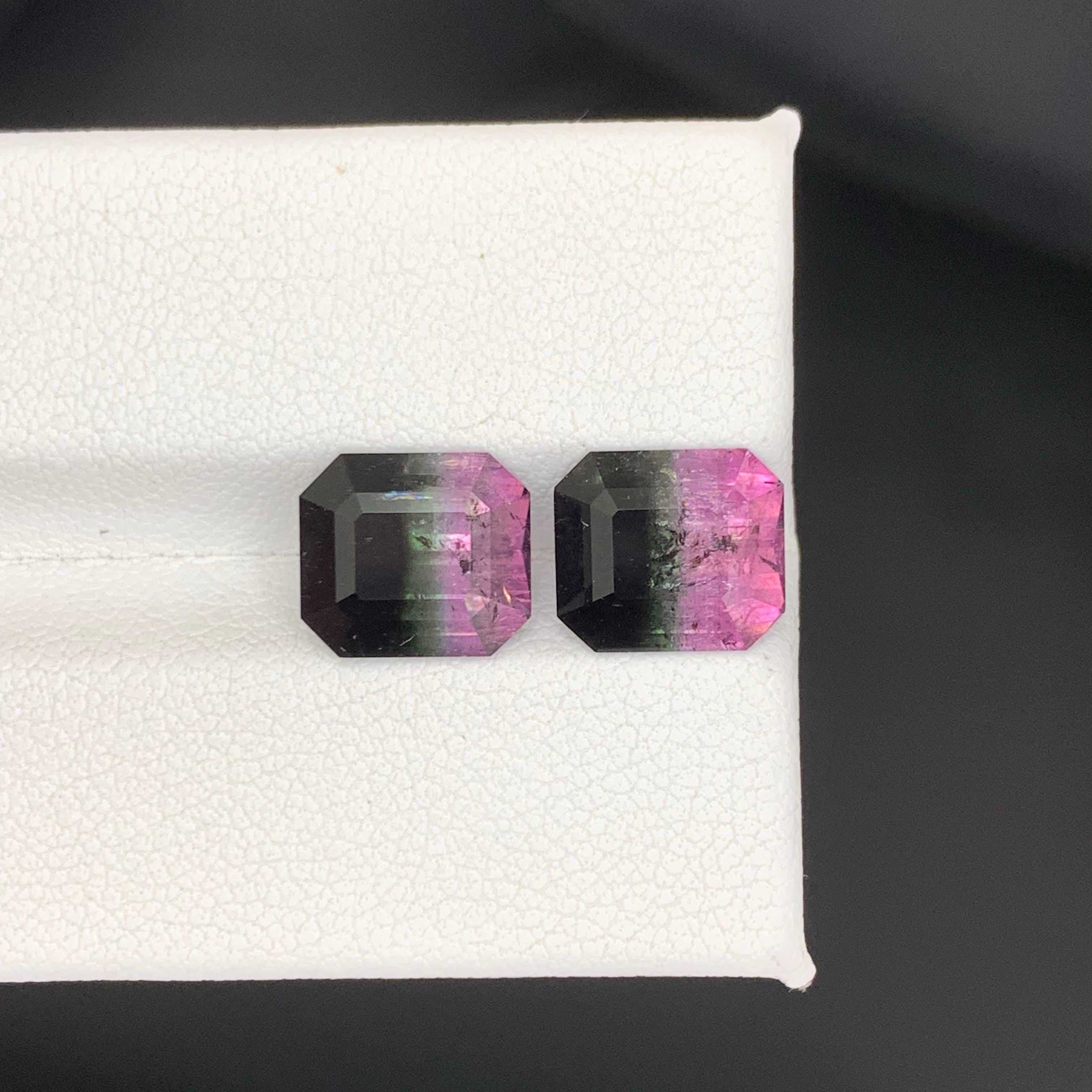 6.65 Carat Natural Loose Bi Color Watermelon Tourmaline Pair Afghan Gemstones en vente 4