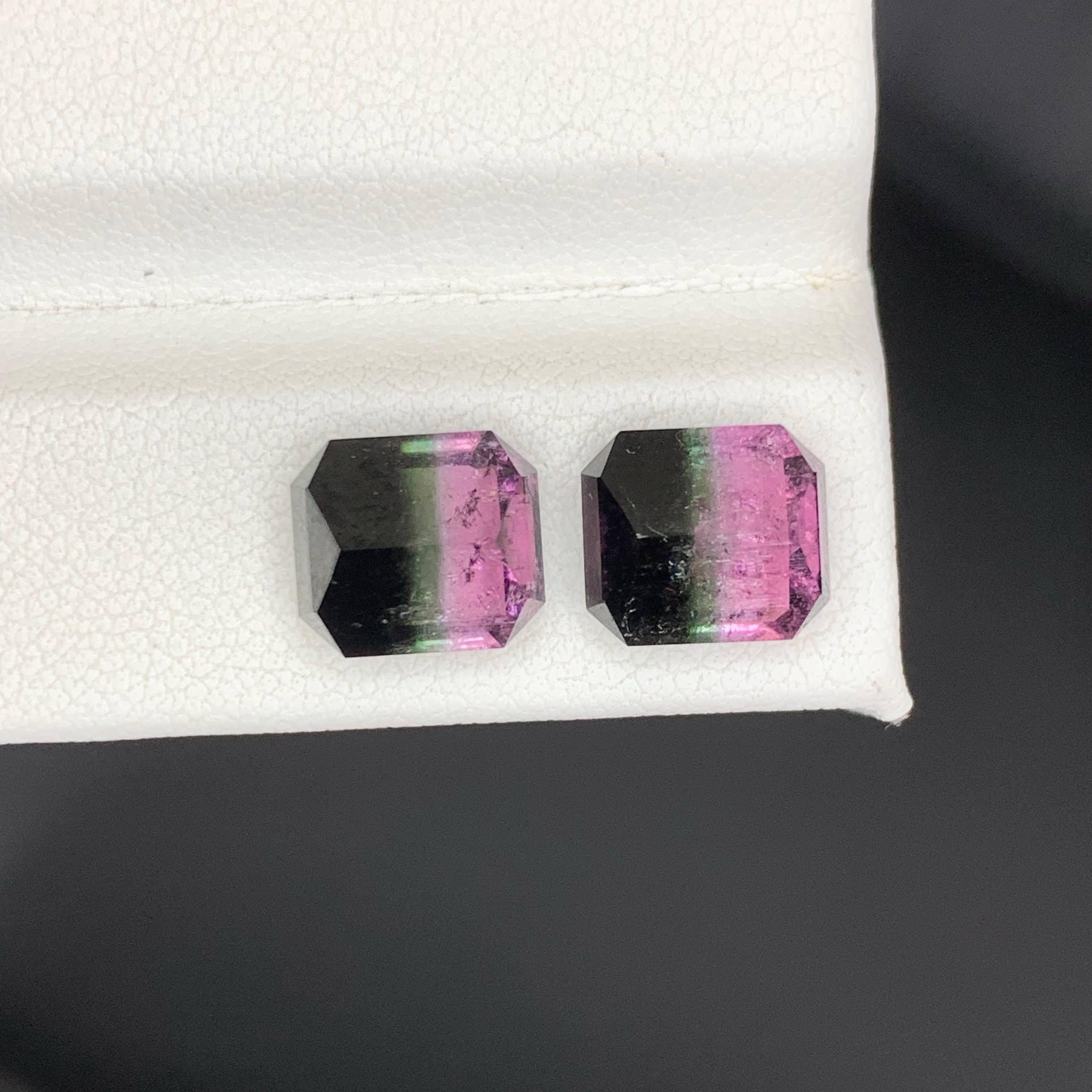 6.65 Carat Natural Loose Bi Color Watermelon Tourmaline Pair Afghan Gemstones en vente 5