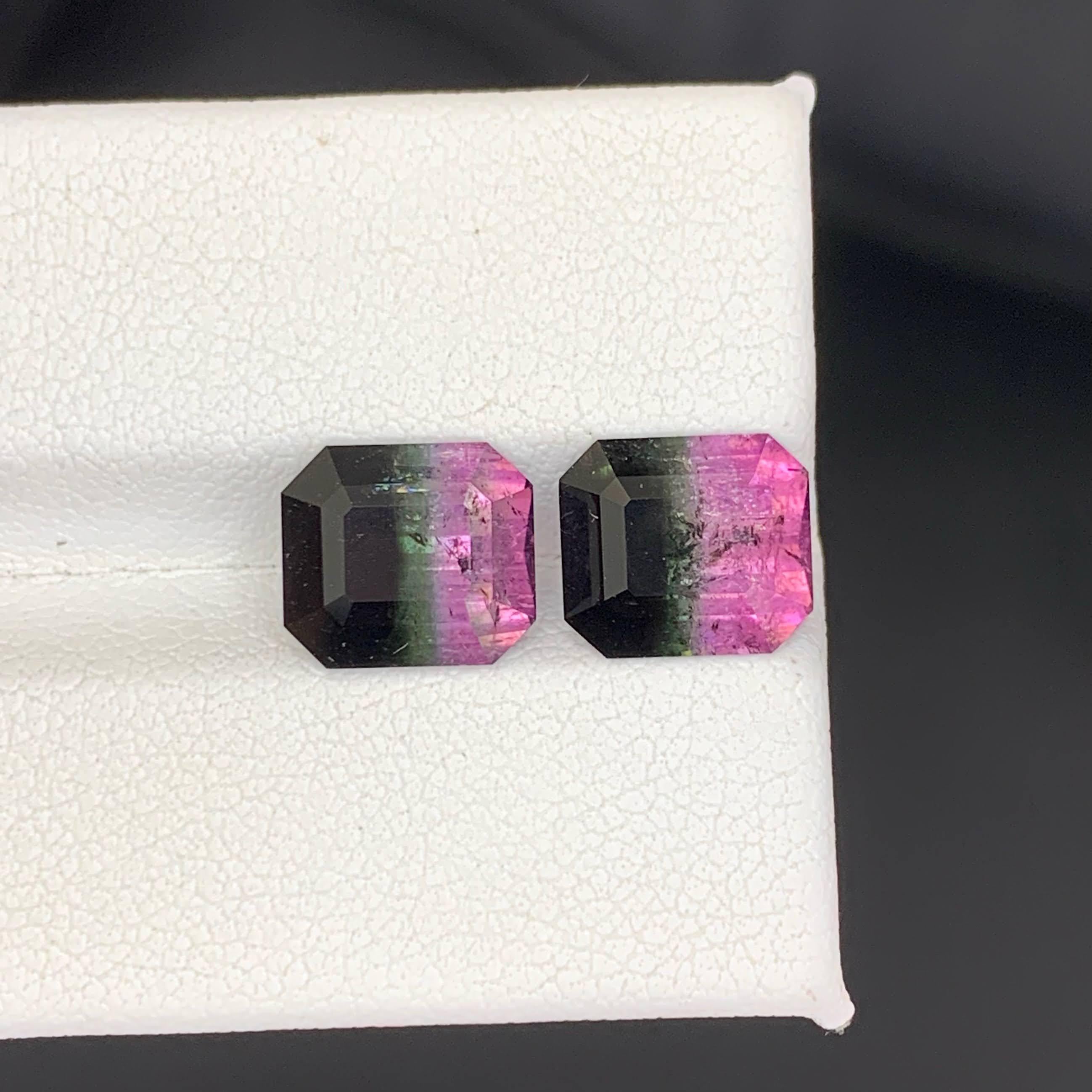 Poids 6,65 carats 
Dimensions 9.1x8.0x5.5mm
Traitement Aucun 
Origine afghane 
Clarity SI
Forme Coupe Émeraude 




Cette exquise paire de tourmalines pastèque naturelles bicolores de 6,65 carats présente un étonnant zonage de couleurs vibrantes,