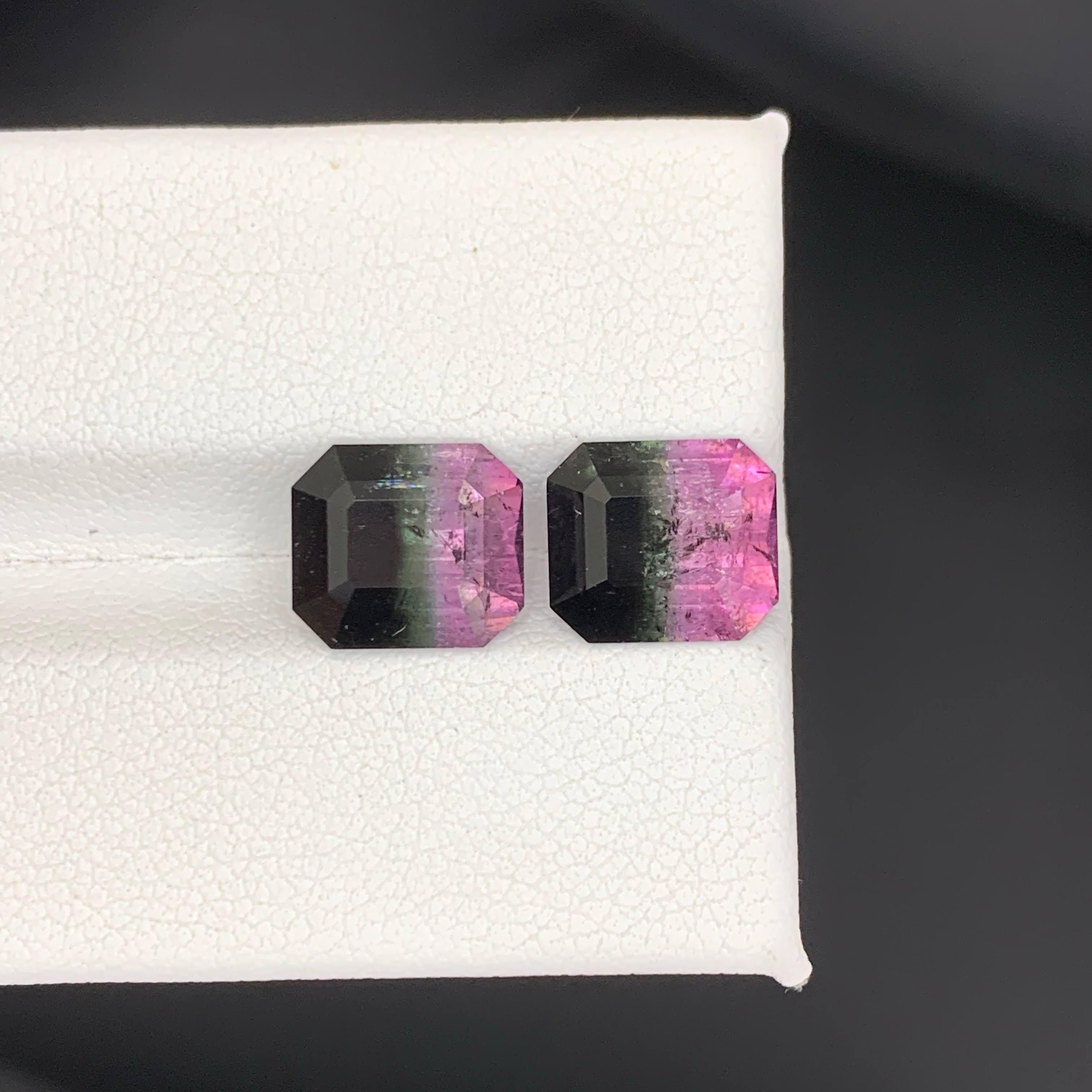 Taille émeraude 6.65 Carat Natural Loose Bi Color Watermelon Tourmaline Pair Afghan Gemstones en vente