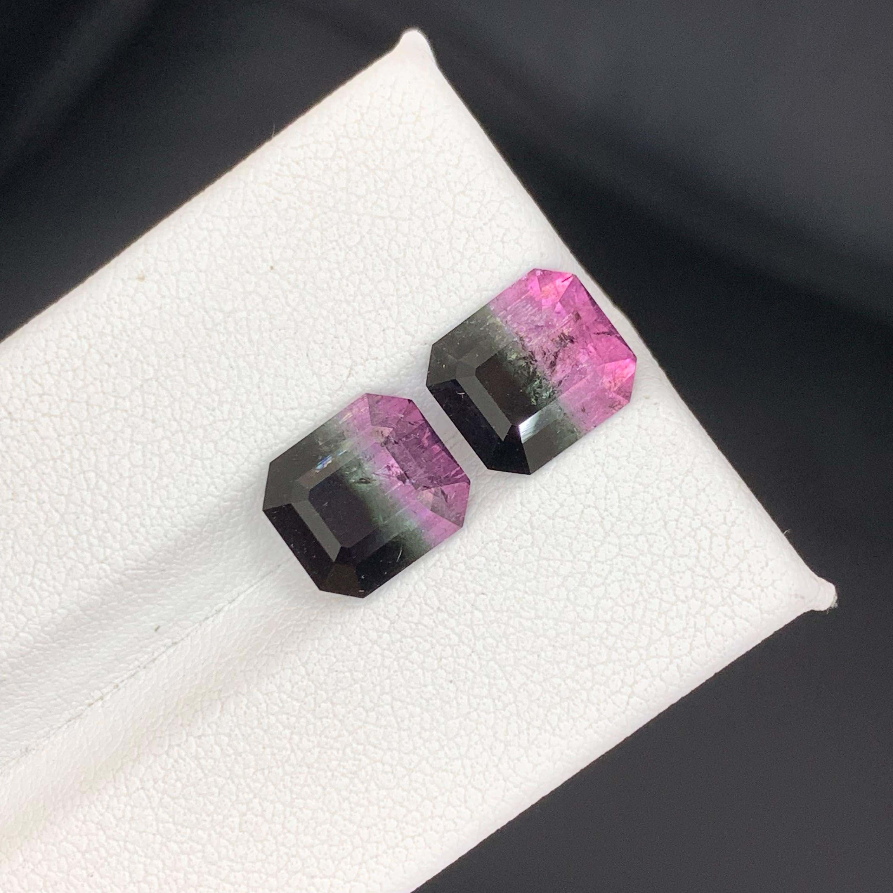 6.65 Carat Natural Loose Bi Color Watermelon Tourmaline Pair Afghan Gemstones Neuf - En vente à Bangkok, TH