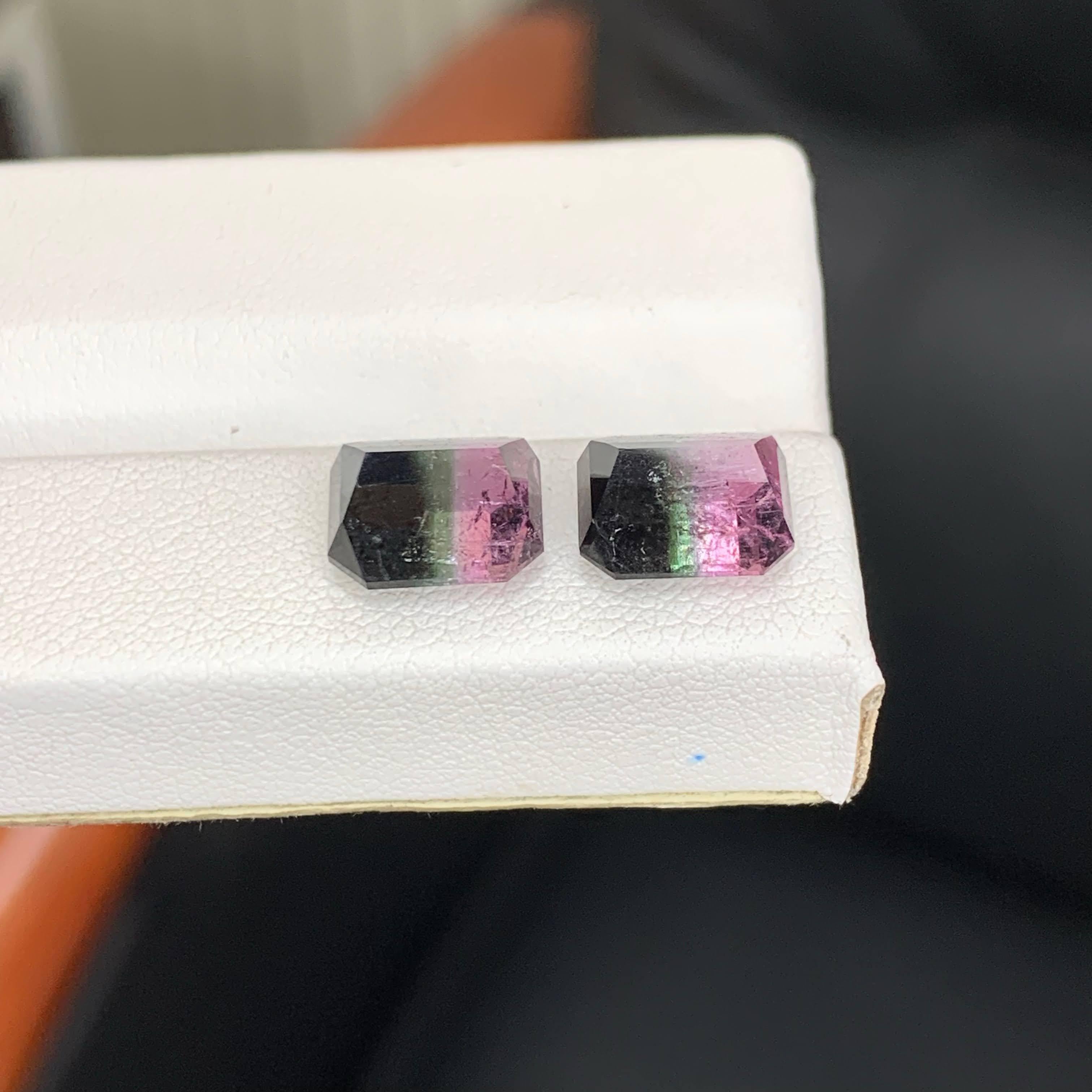 6.65 Carat Natural Loose Bi Color Watermelon Tourmaline Pair Afghan Gemstones Unisexe en vente