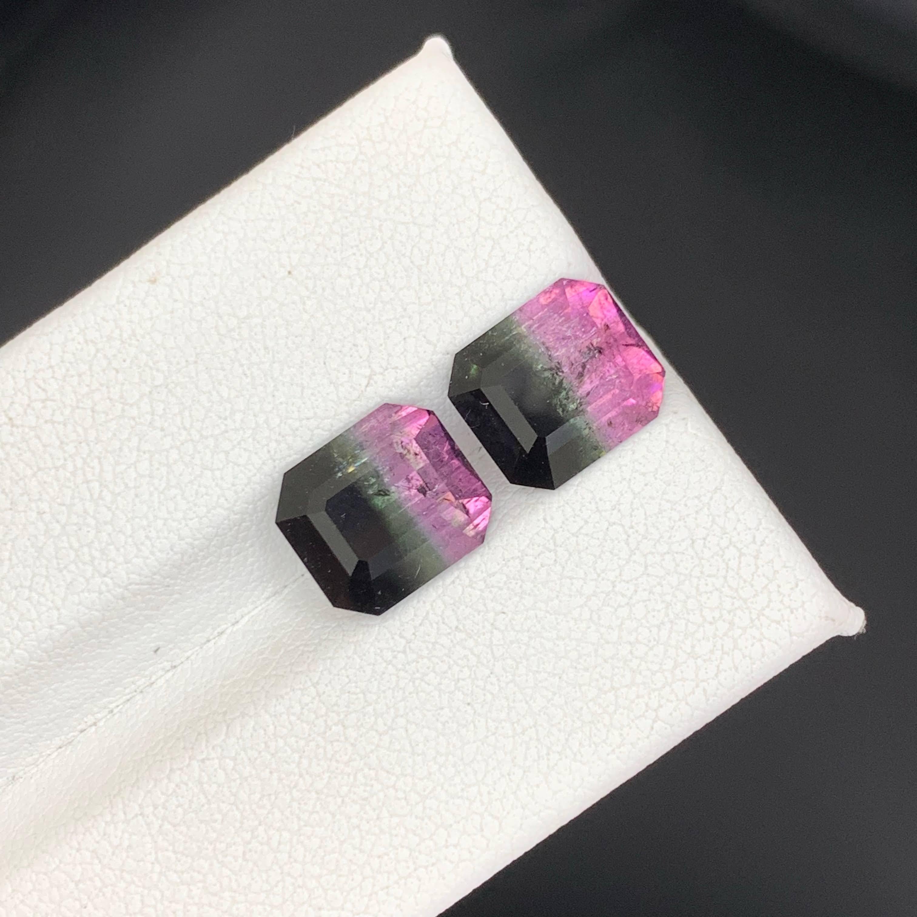 6.65 Carat Natural Loose Bi Color Watermelon Tourmaline Pair Afghan Gemstones en vente 2