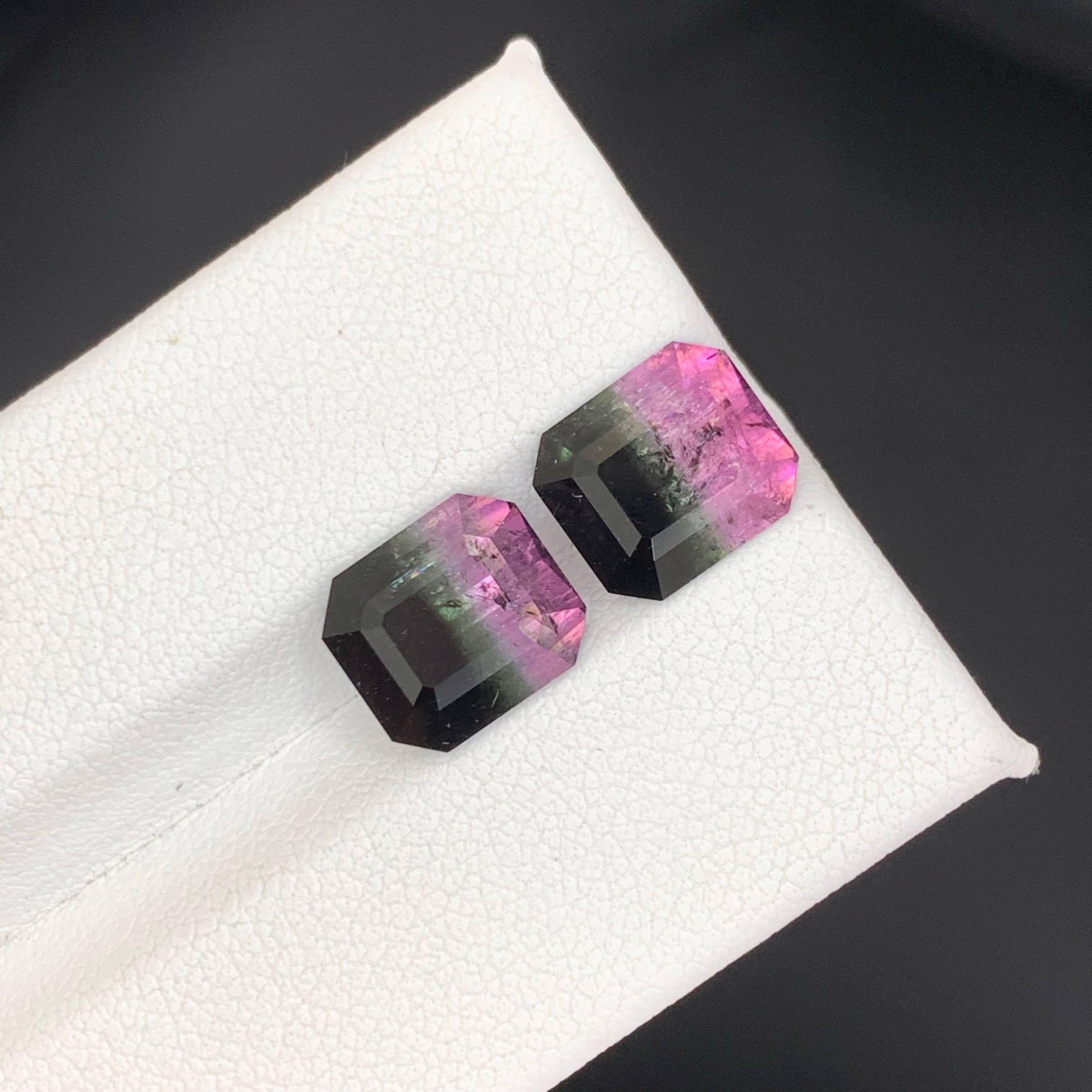 6.65 Carat Natural Loose Bi Color Watermelon Tourmaline Pair Afghan Gemstones en vente 3