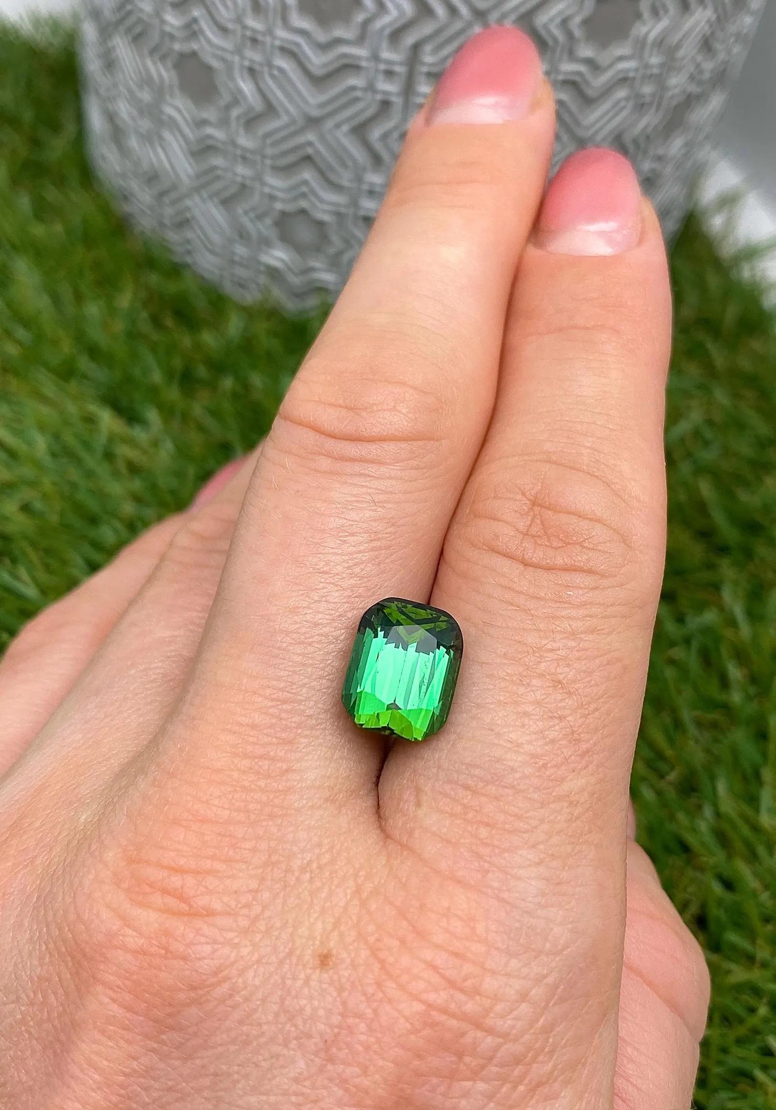 6.65Ct Tourmaline pierre précieuse naturelle, taille coussin, Afghanistan, certifié GFCO en vente 2