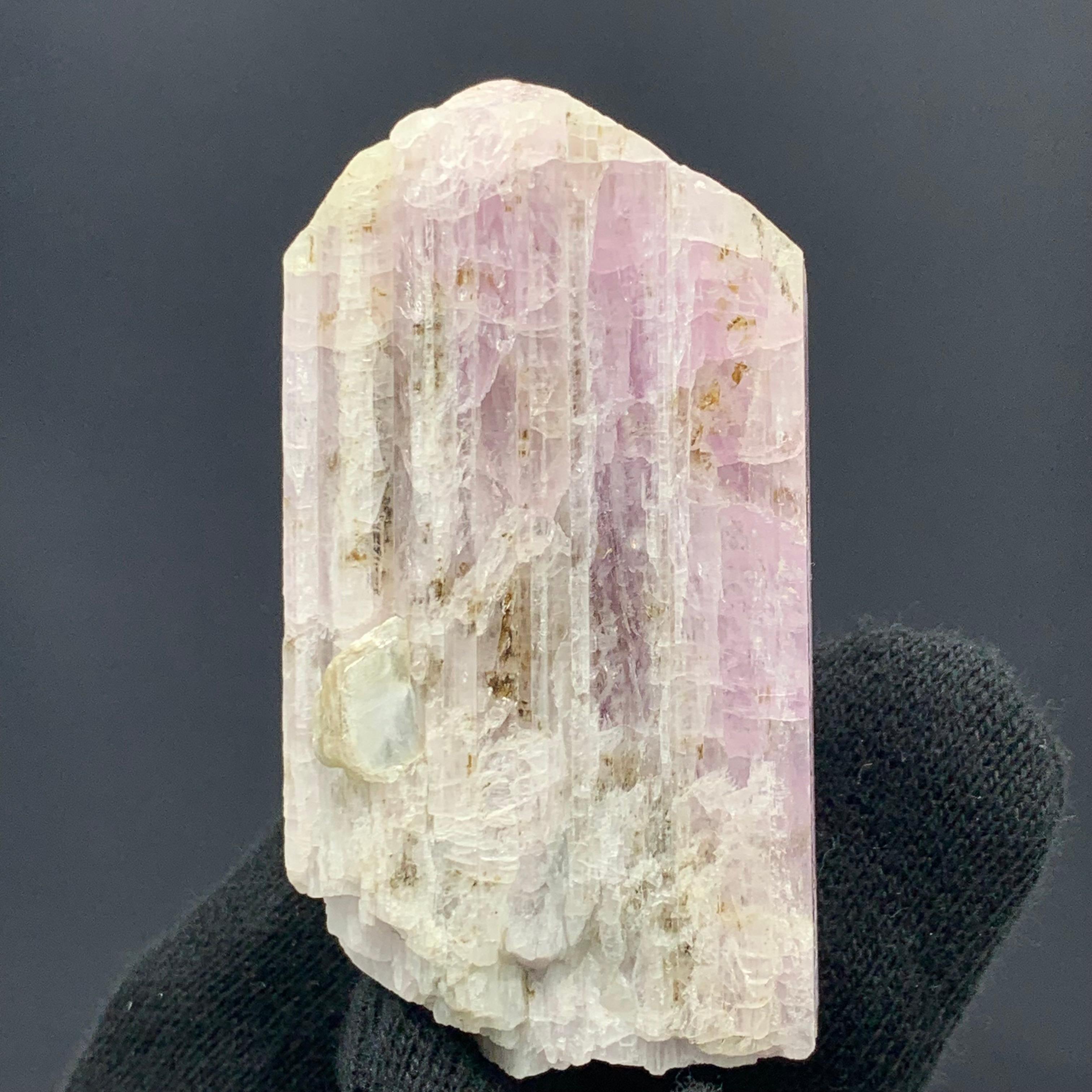 Precioso espécimen de kunzita de 66,90 gramos con moscovita procedente de Kunar, Afganistán 
Peso: 66,90 gramos
Dimensiones: 5,9 x 3,2 x 2,5 cm
Origen: Kunar, Afganistán 

La kunzita es la variedad más conocida del mineral espodumeno. Debe su nombre