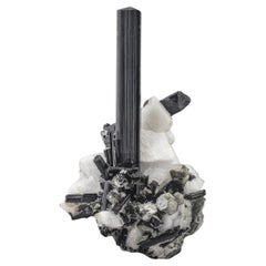 67 Gramos Lusterious Schorl Cristal de Turmalina Negra Sobre Albita De Pakistán
