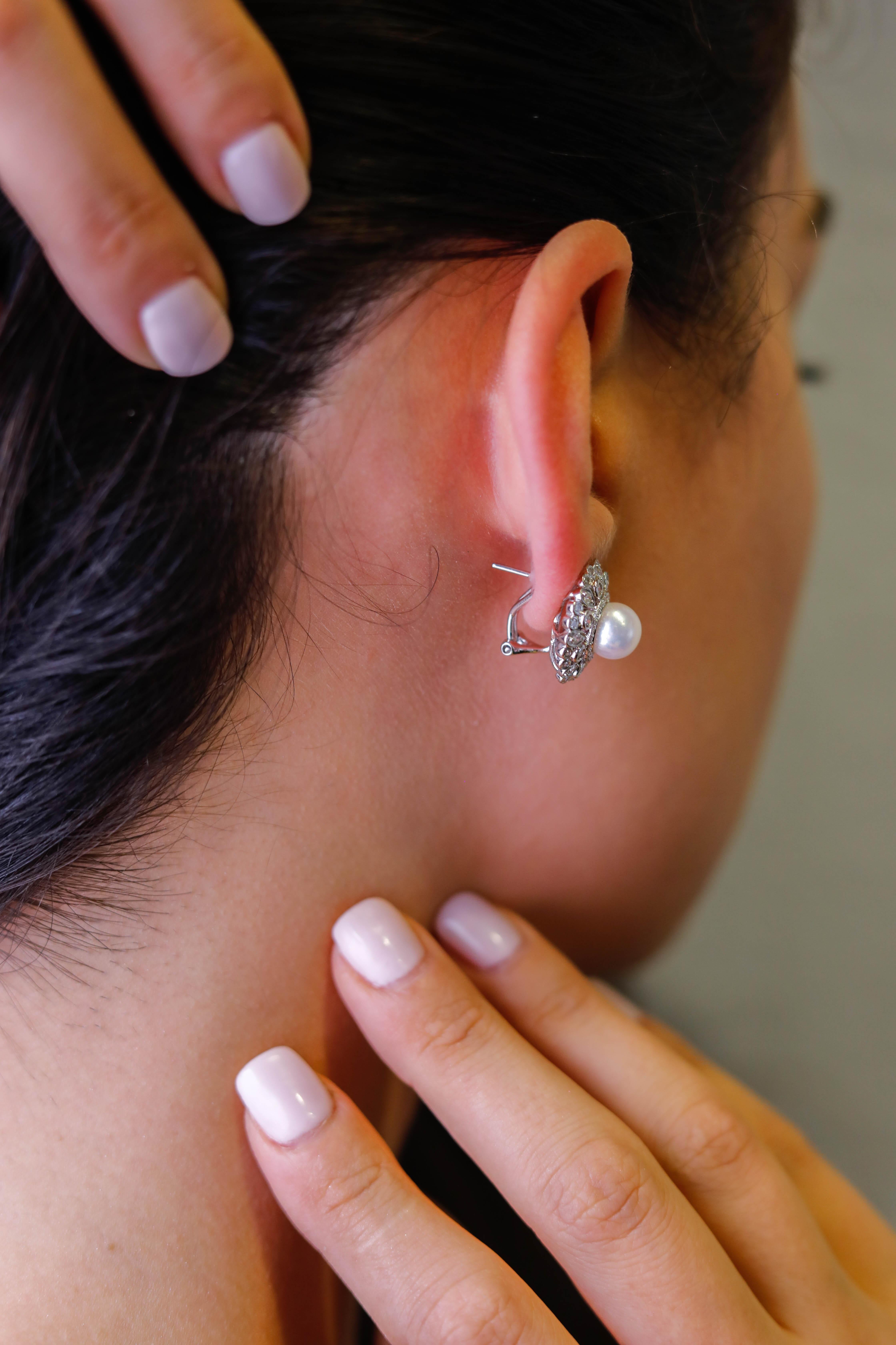 Women's 6.7 TCW Cultured Pearl Diamond Diamond Stud Earrings in 14 karat White Gold
