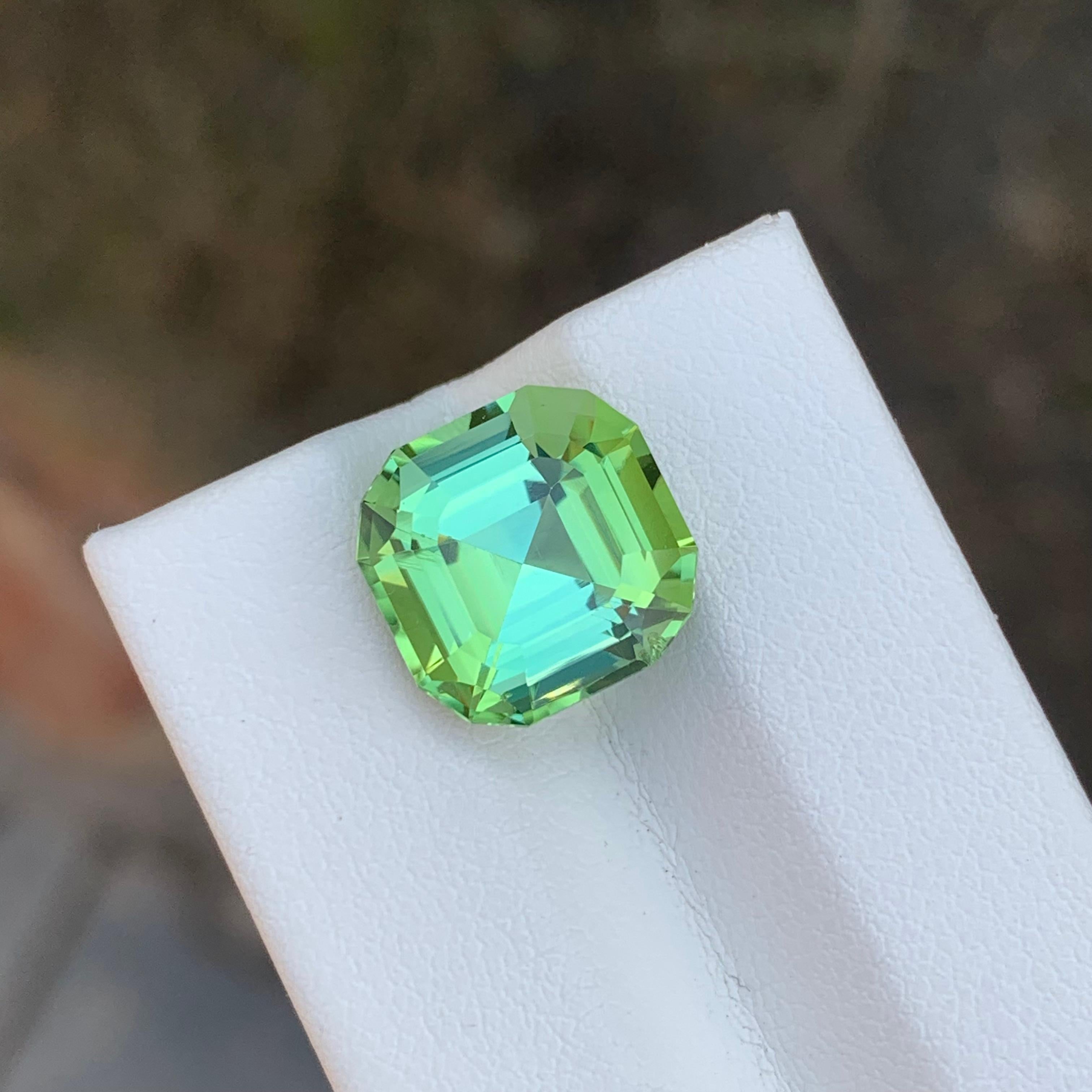 6.70 Carat Natural Loose Green Tourmaline Asscher Shape Gemstone (pierre de taille) en vente 5