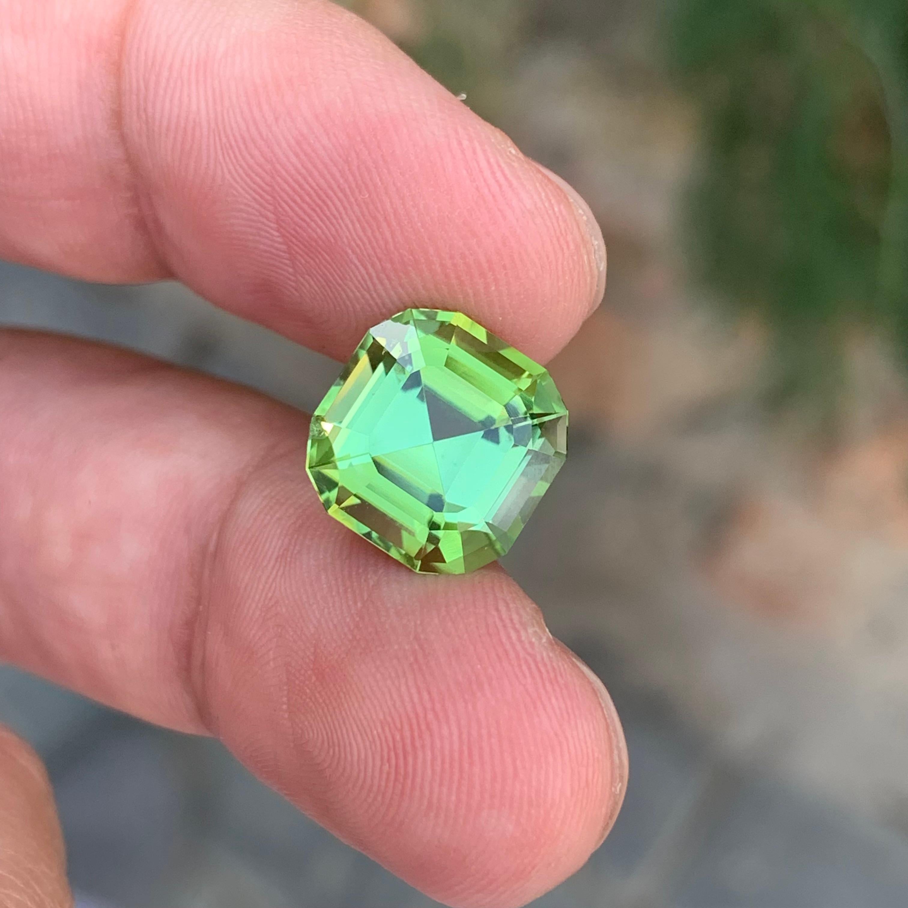 Taille Asscher 6.70 Carat Natural Loose Green Tourmaline Asscher Shape Gemstone (pierre de taille) en vente