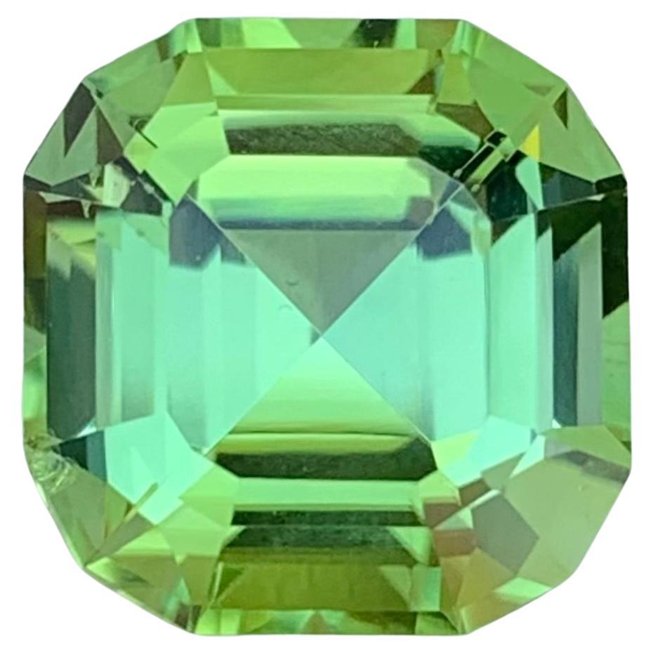 6.70 Carat Natural Loose Green Tourmaline Asscher Shape Gemstone (pierre de taille)