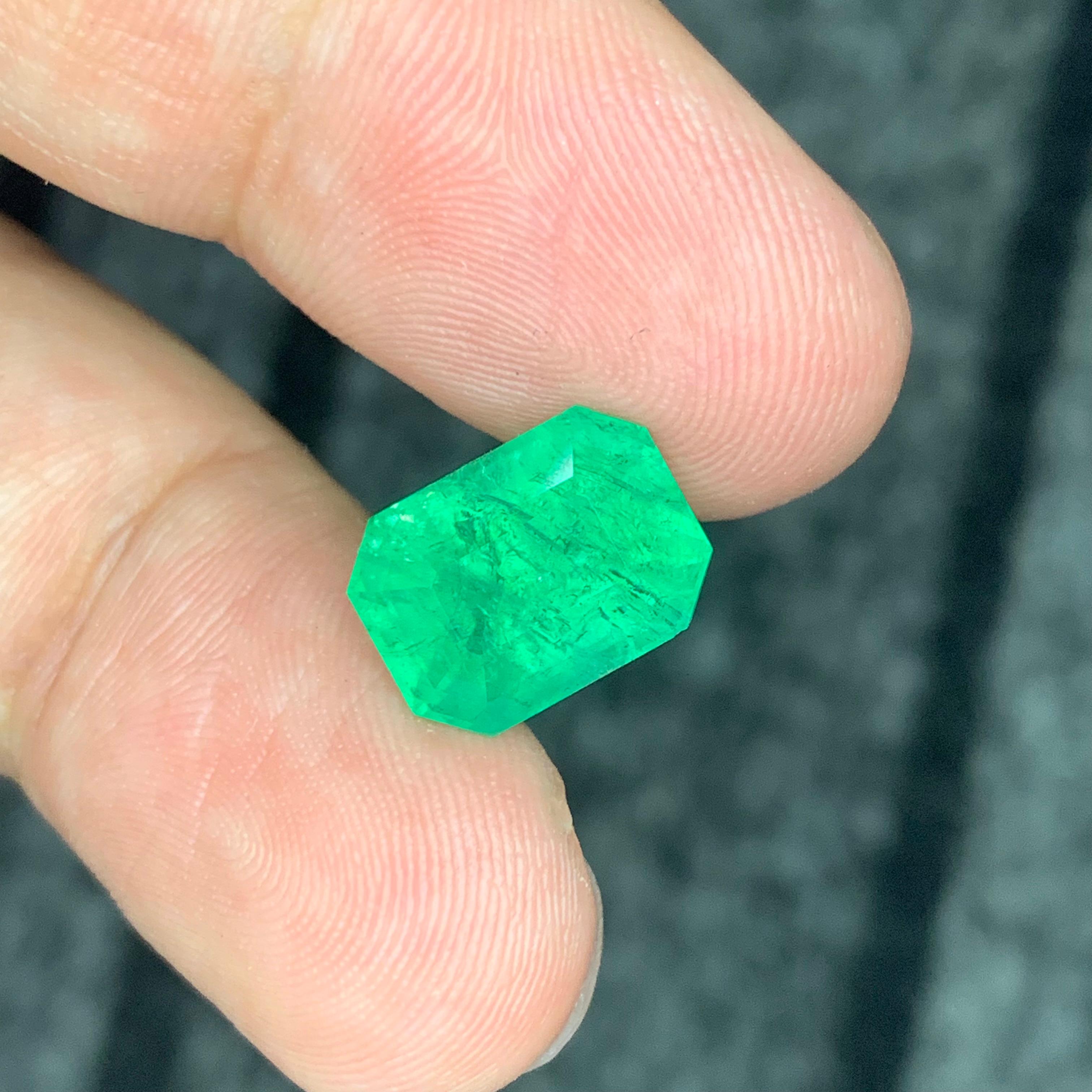 6.70 Carat Natural Loose Panjshir Emerald Gemstone (pierre précieuse d'émeraude du Panjshir) en vente 5