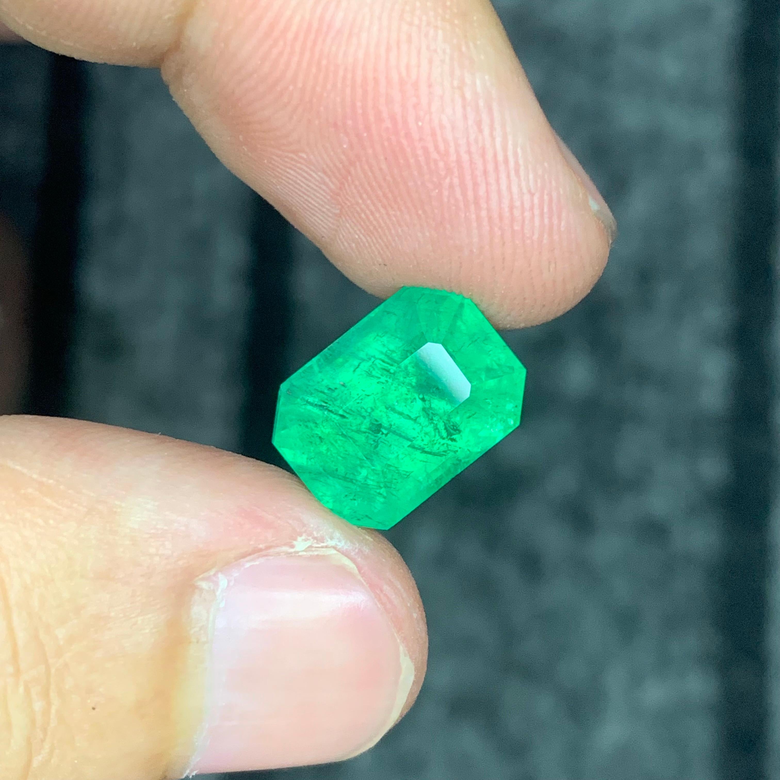 6.70 Carat Natural Loose Panjshir Emerald Gemstone (pierre précieuse d'émeraude du Panjshir) en vente 6