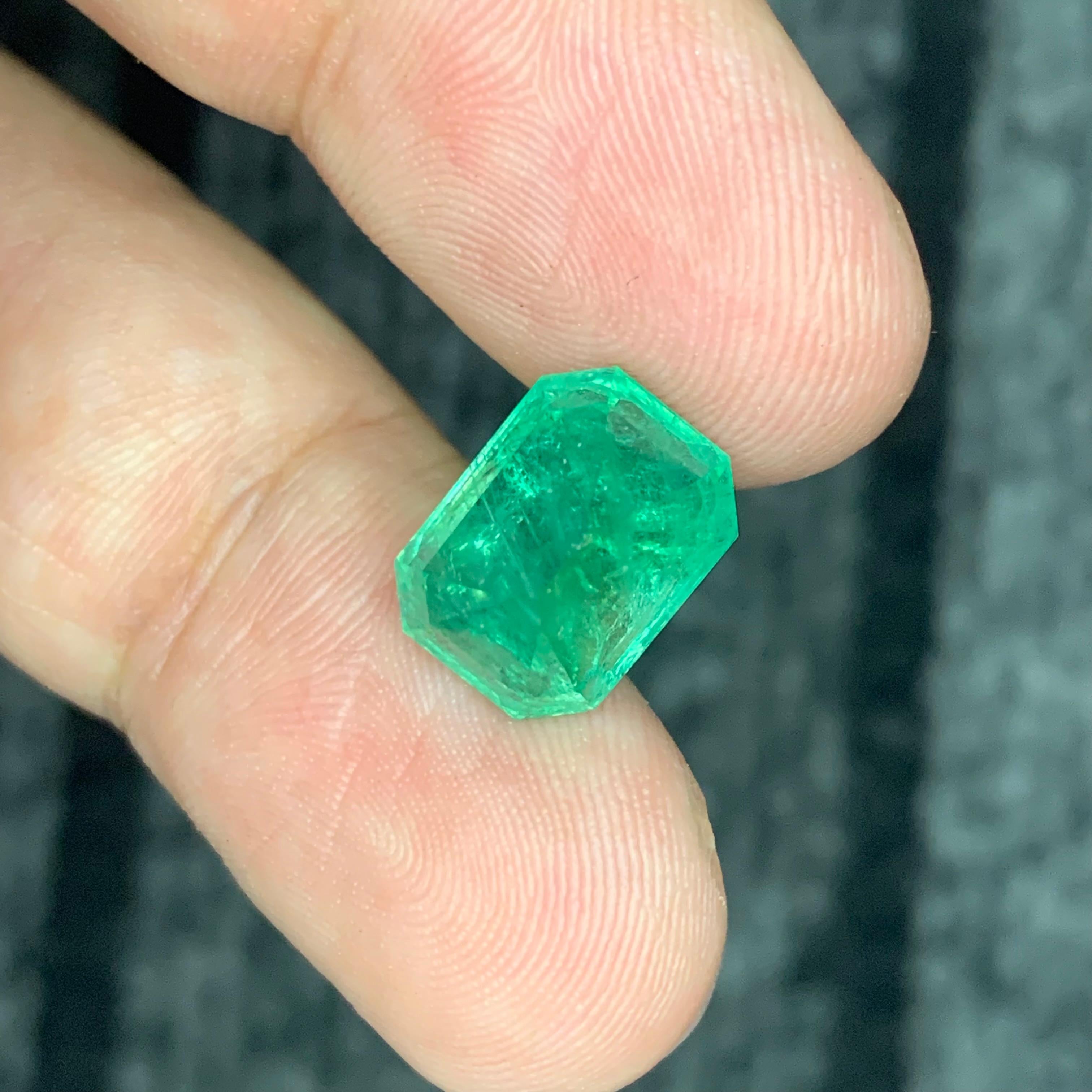 6.70 Carat Natural Loose Panjshir Emerald Gemstone (pierre précieuse d'émeraude du Panjshir) Unisexe en vente