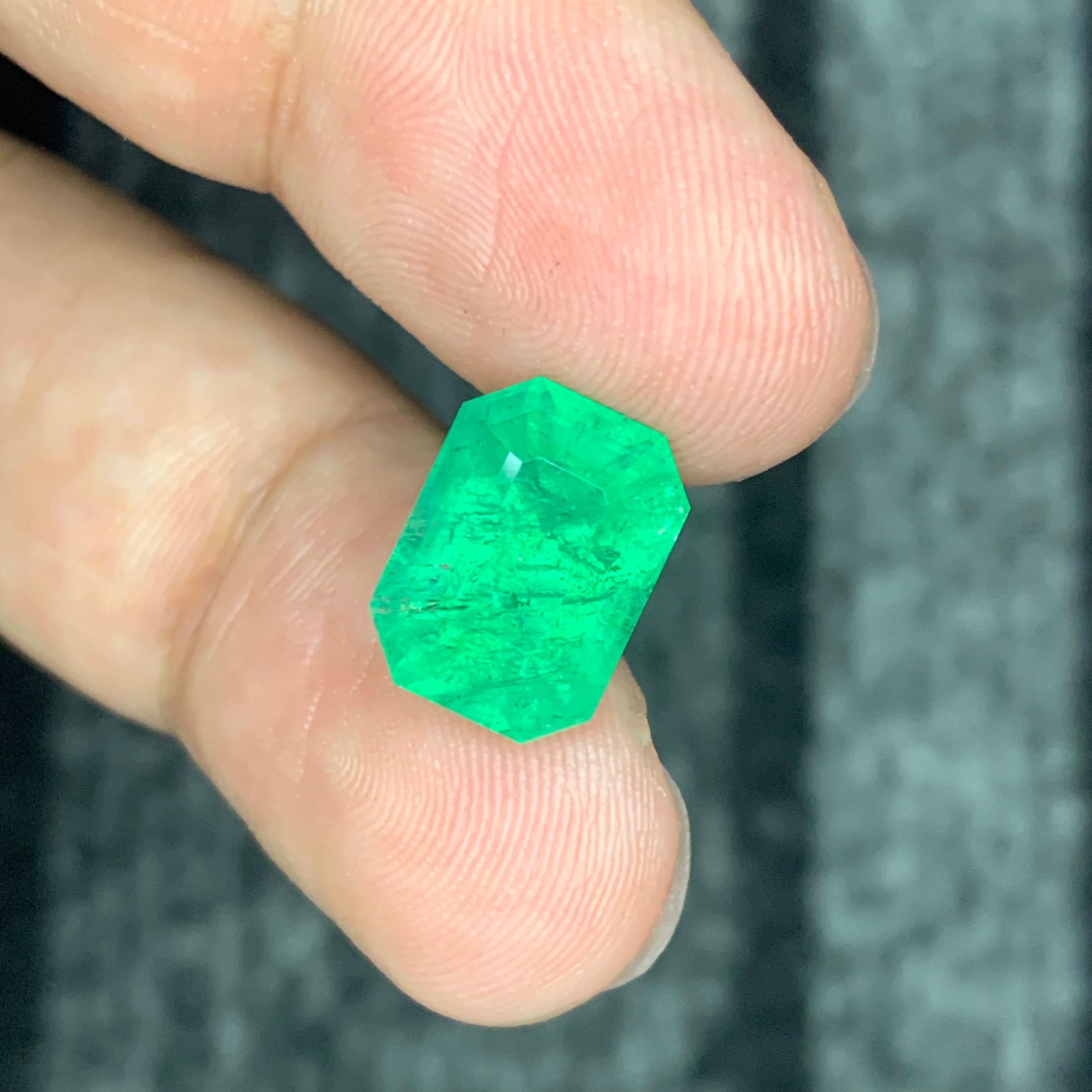 6.70 Carat Natural Loose Panjshir Emerald Gemstone (pierre précieuse d'émeraude du Panjshir) en vente 1