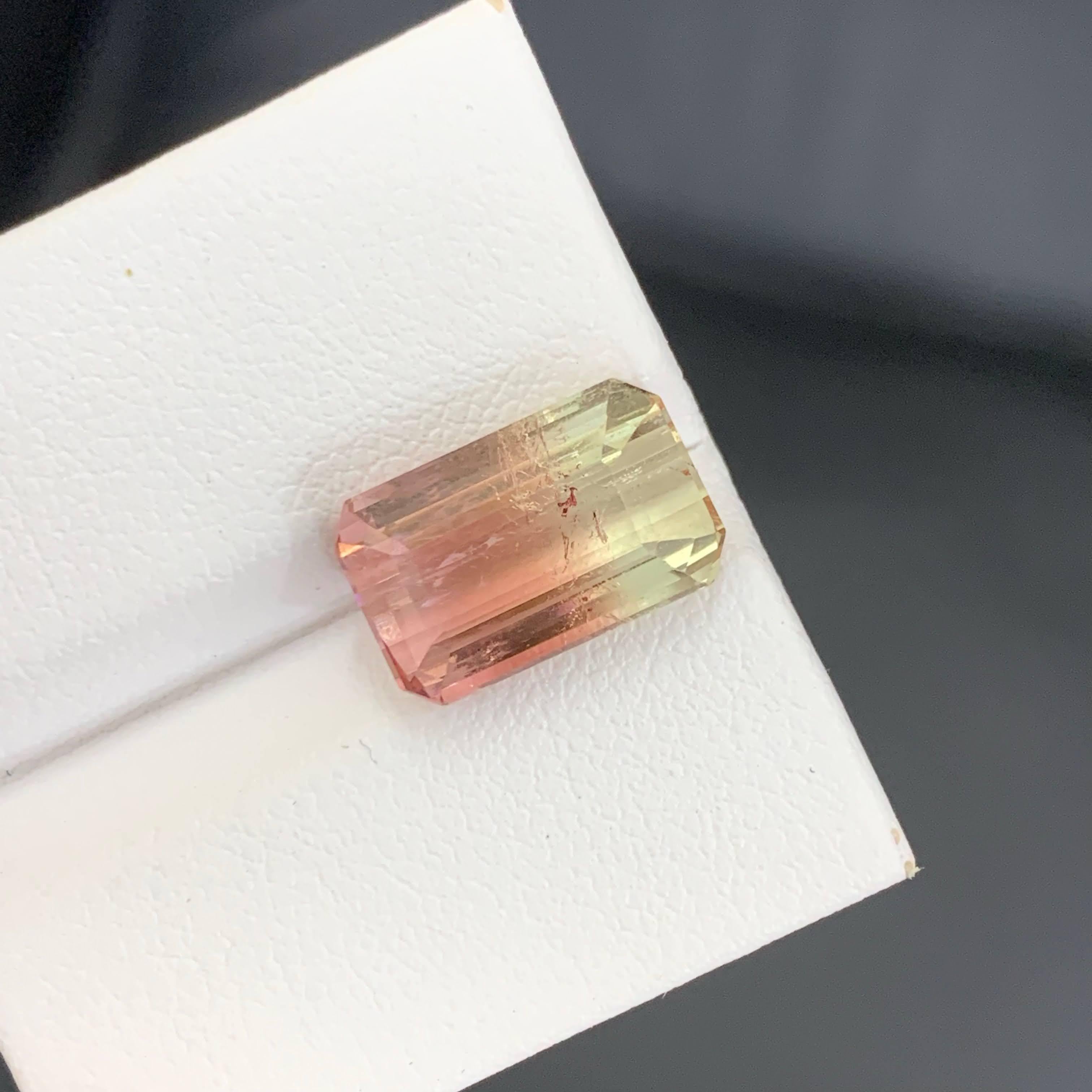 6.75 Karat Natürliche Lose Bi Color Turmalin Stein Smaragd Schliff Afrika Edelstein im Angebot 4