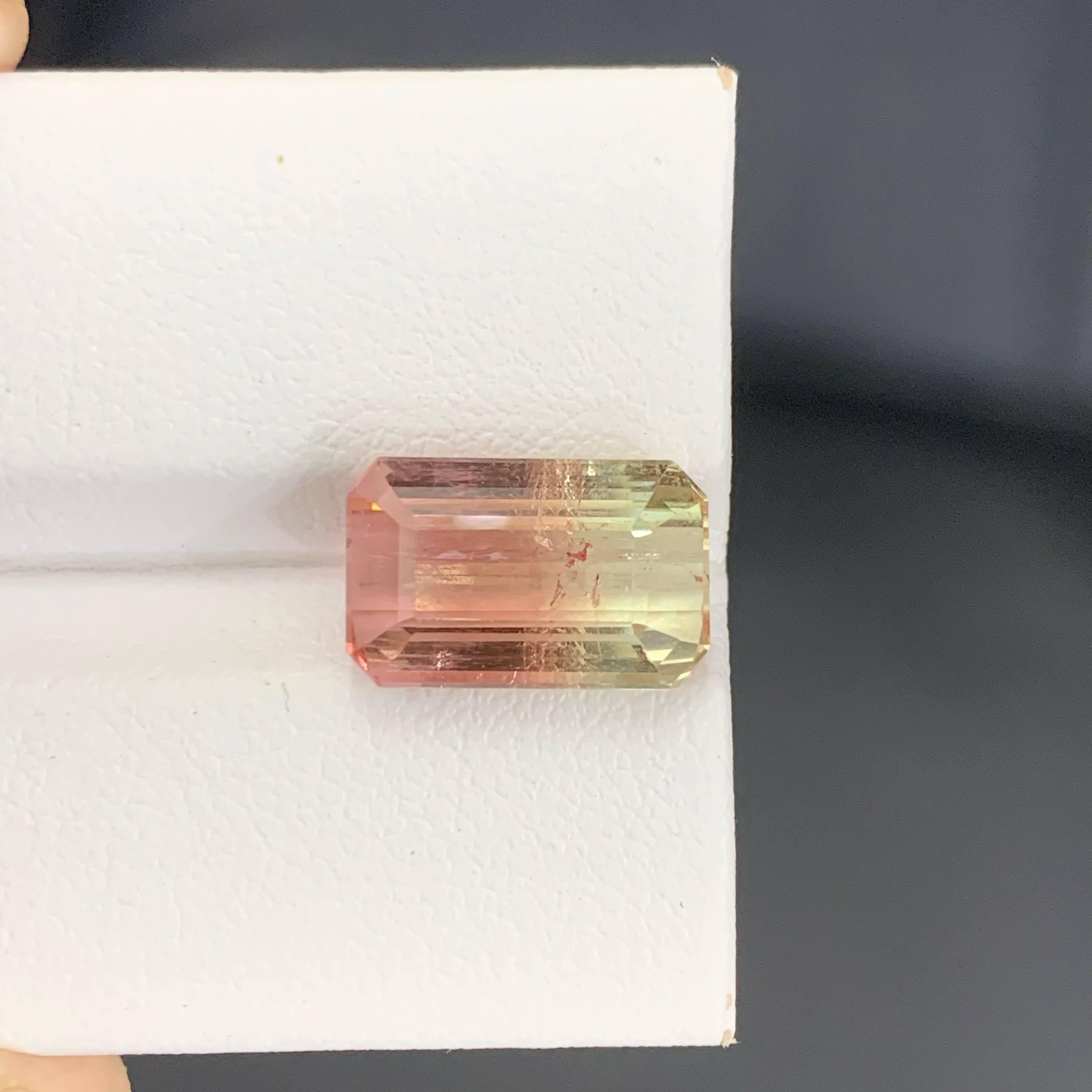 6.75 Karat Natürliche Lose Bi Color Turmalin Stein Smaragd Schliff Afrika Edelstein im Angebot 5